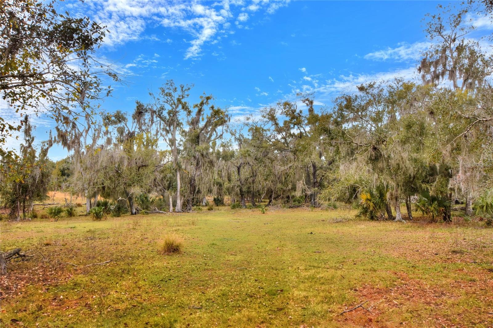 Colding Loop Property Photo 3
