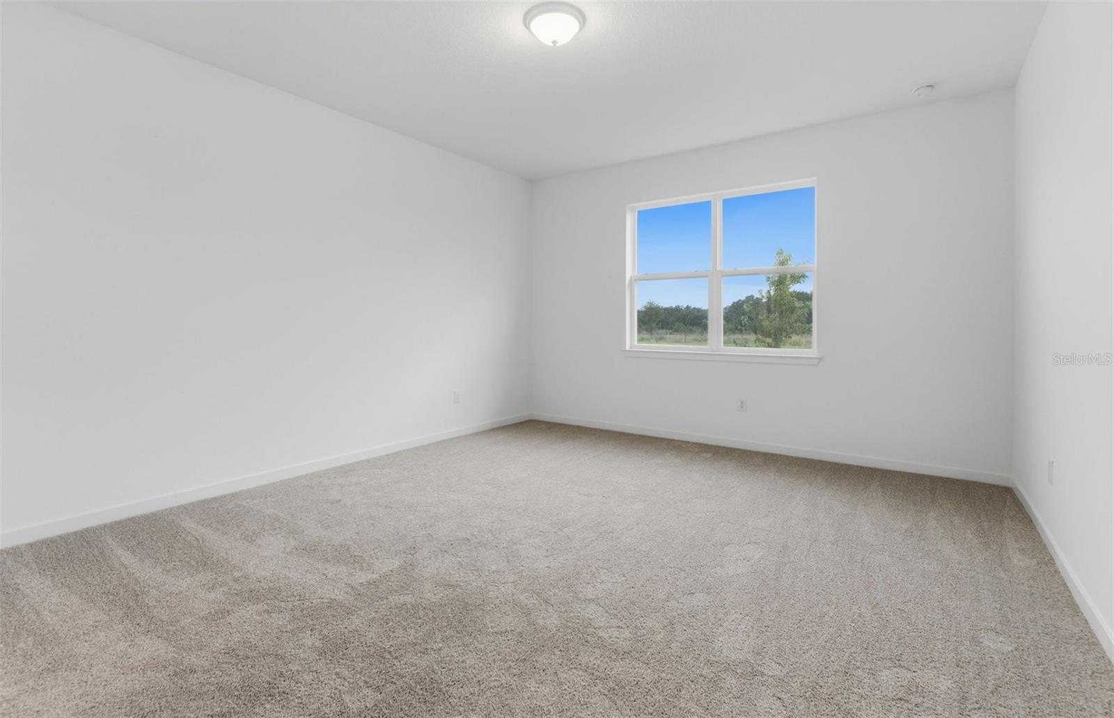 33456 Herds Hallow Way Property Photo 7