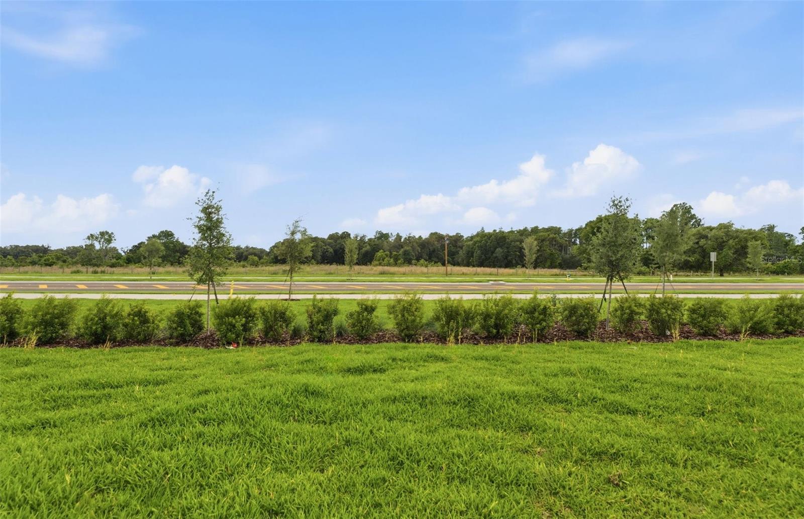 33456 Herds Hallow Way Property Photo 17