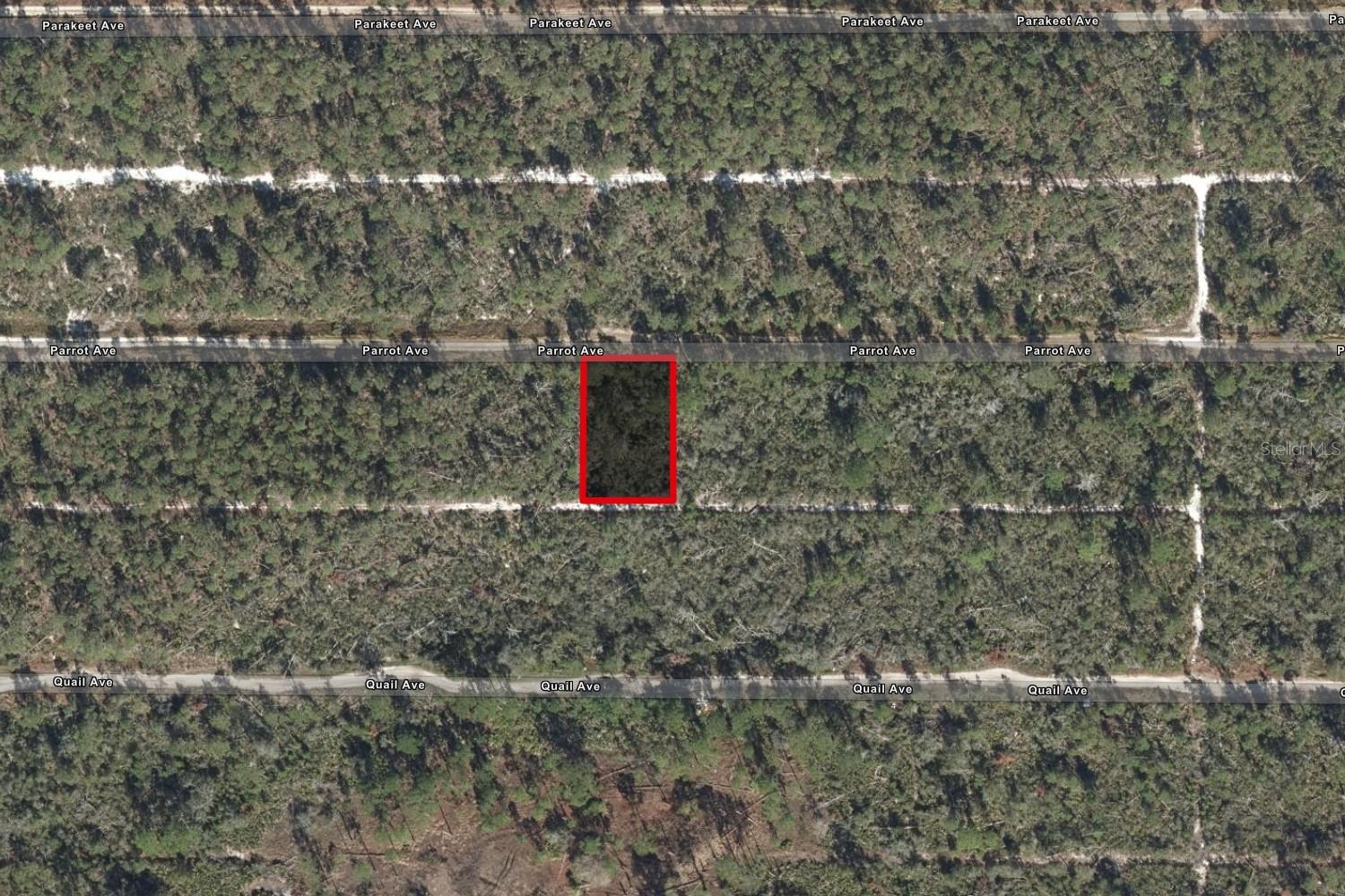 533 Parrot Ave Property Photo 1