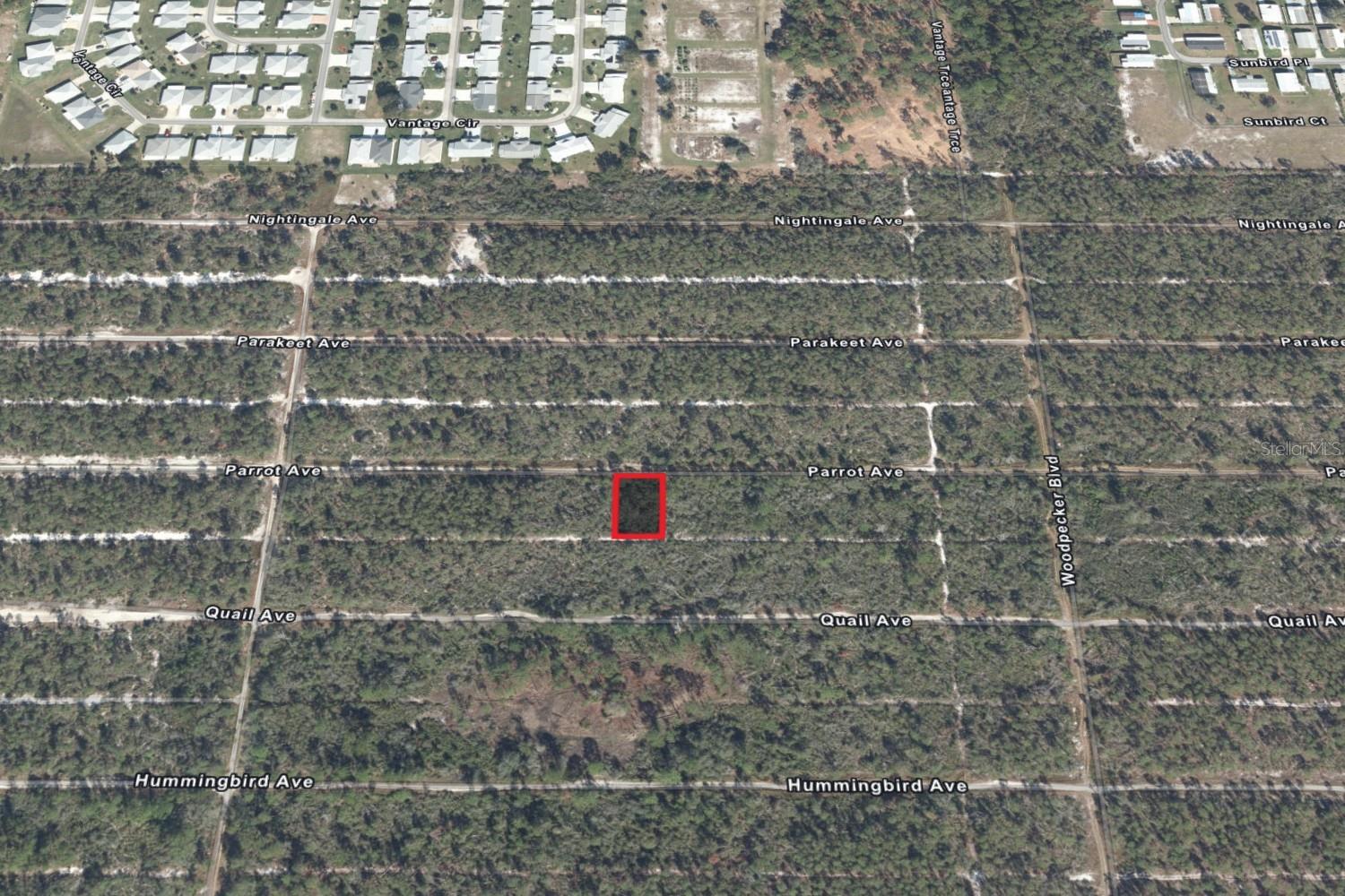 533 Parrot Ave Property Photo 3