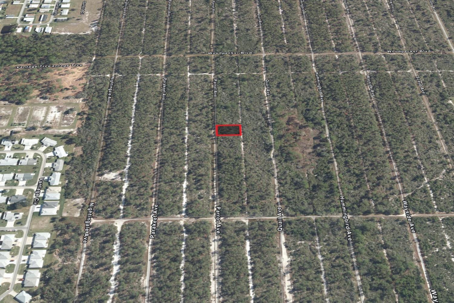 533 Parrot Ave Property Photo 4