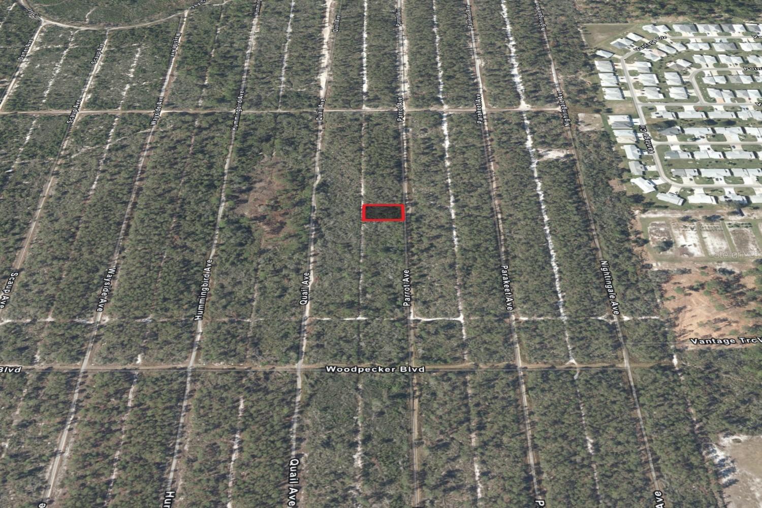 533 Parrot Ave Property Photo 6