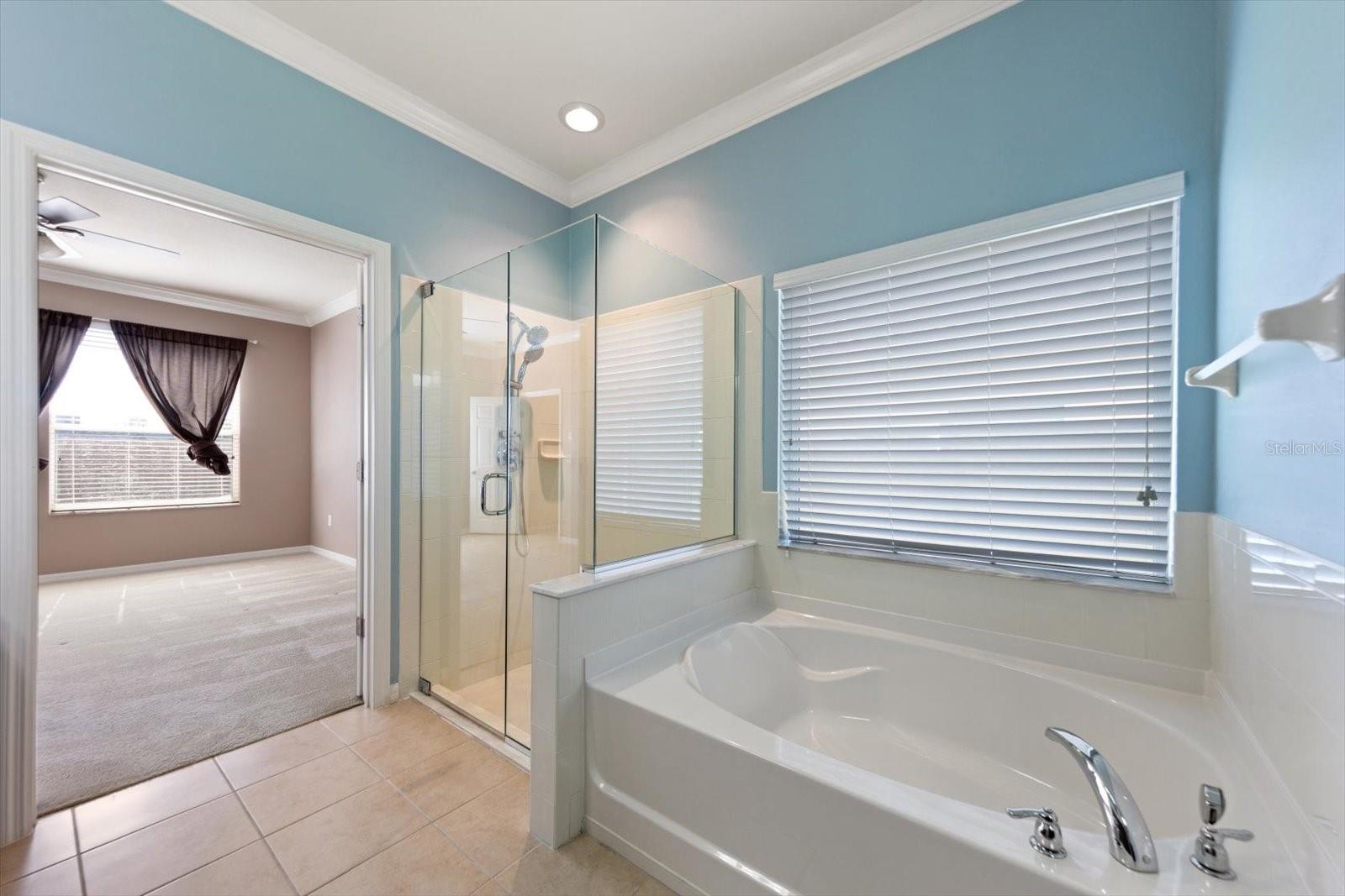 2302 Barracuda Ct Property Photo 22