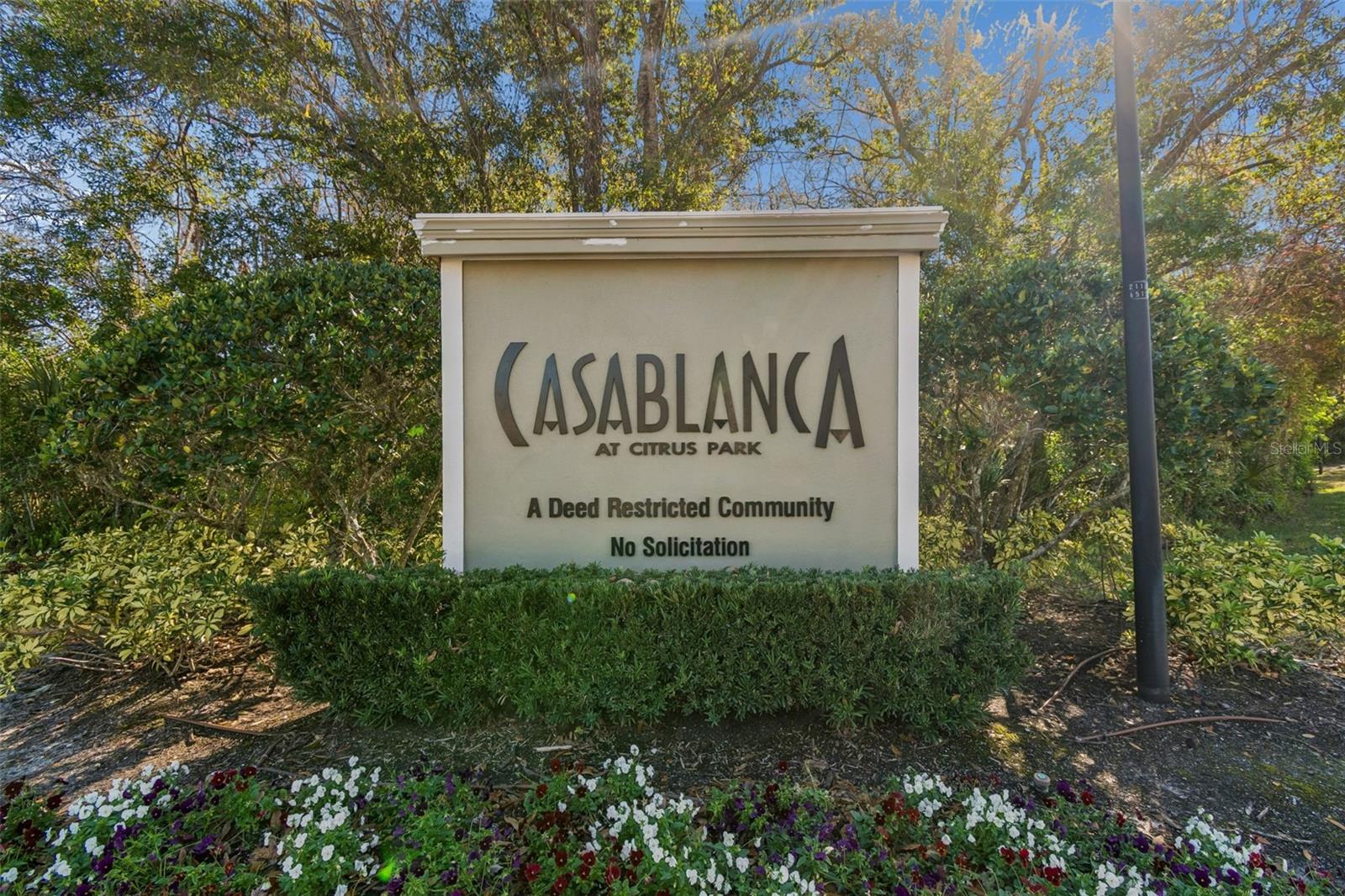 8809 Casablanca Way Property Photo 46