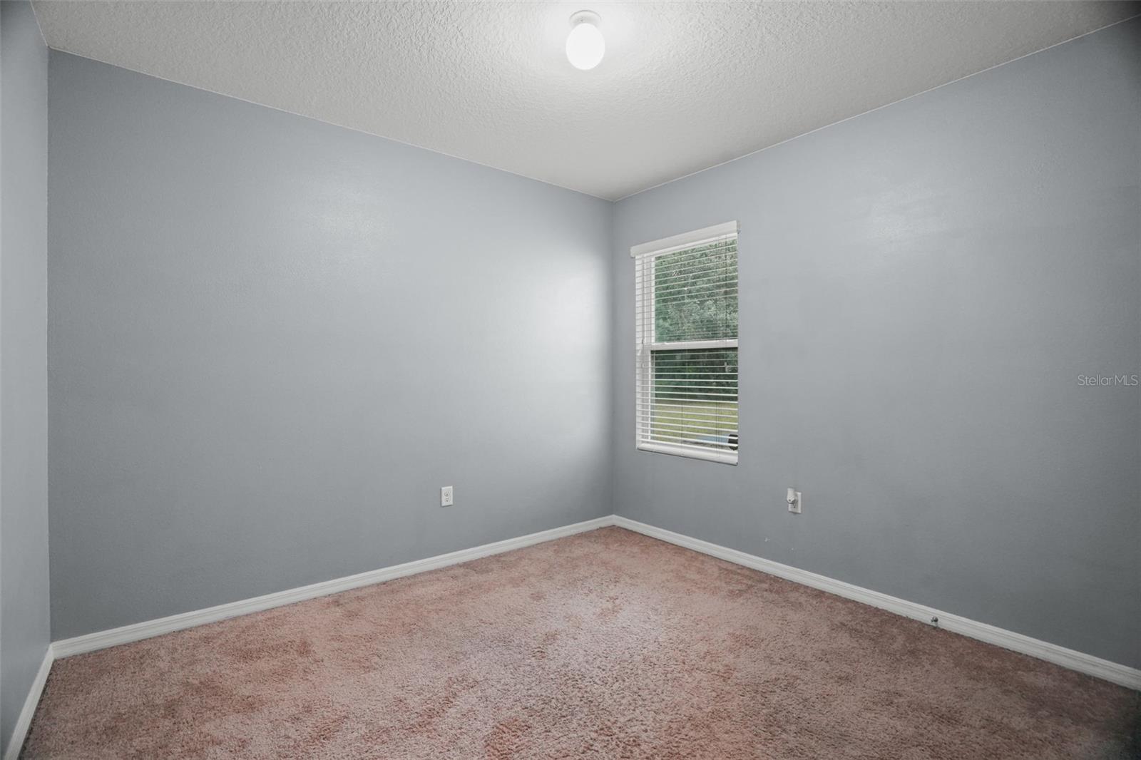 10104 Hawk Storm Ave Property Photo 15