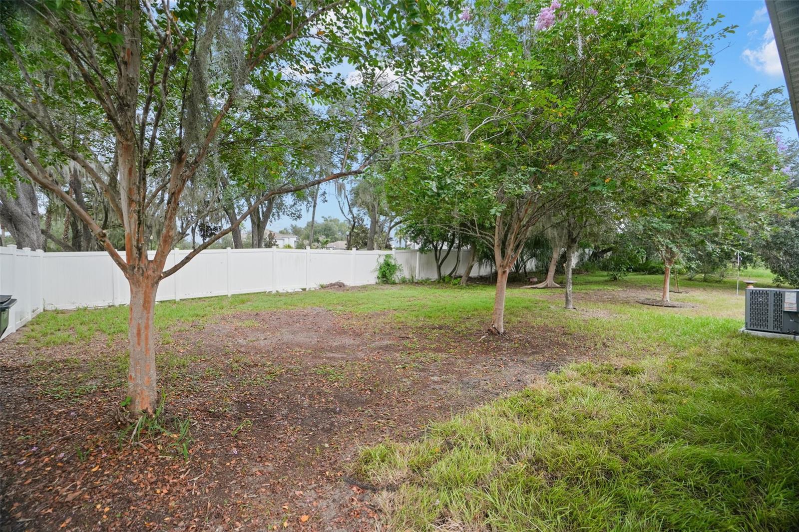10104 Hawk Storm Ave Property Photo 20