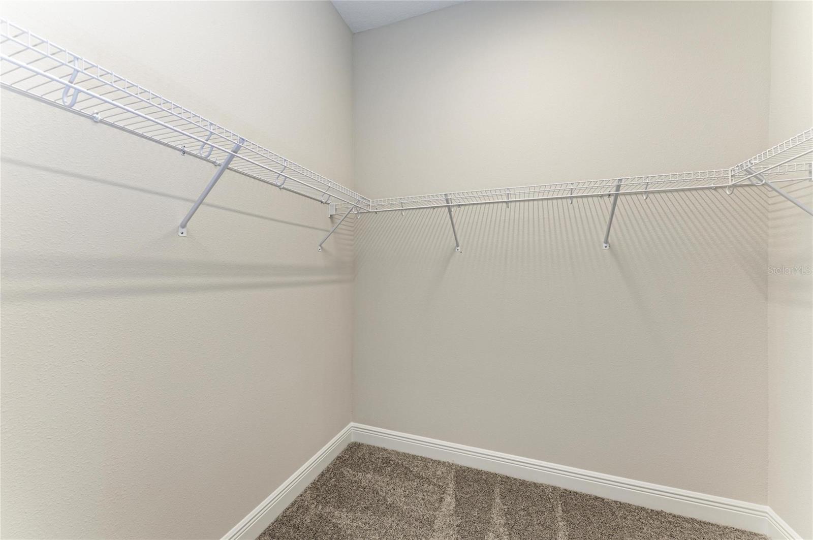 2058 Arching Branch Dr Property Photo 10