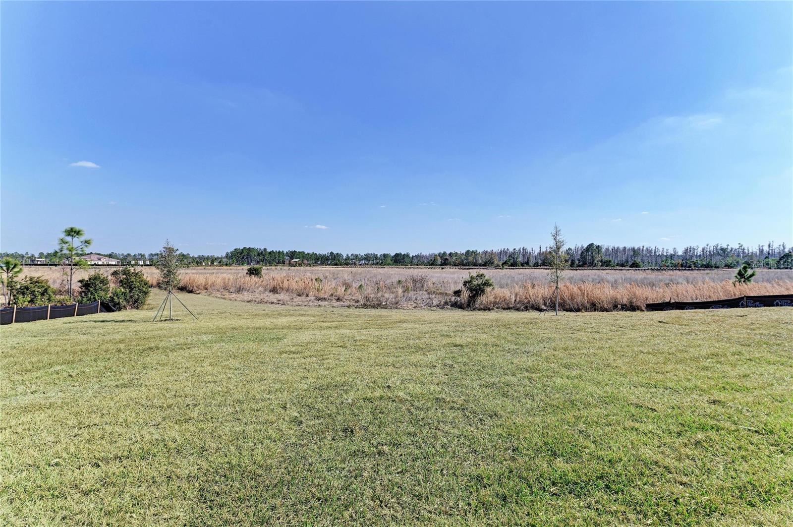 2058 Arching Branch Dr Property Photo 40