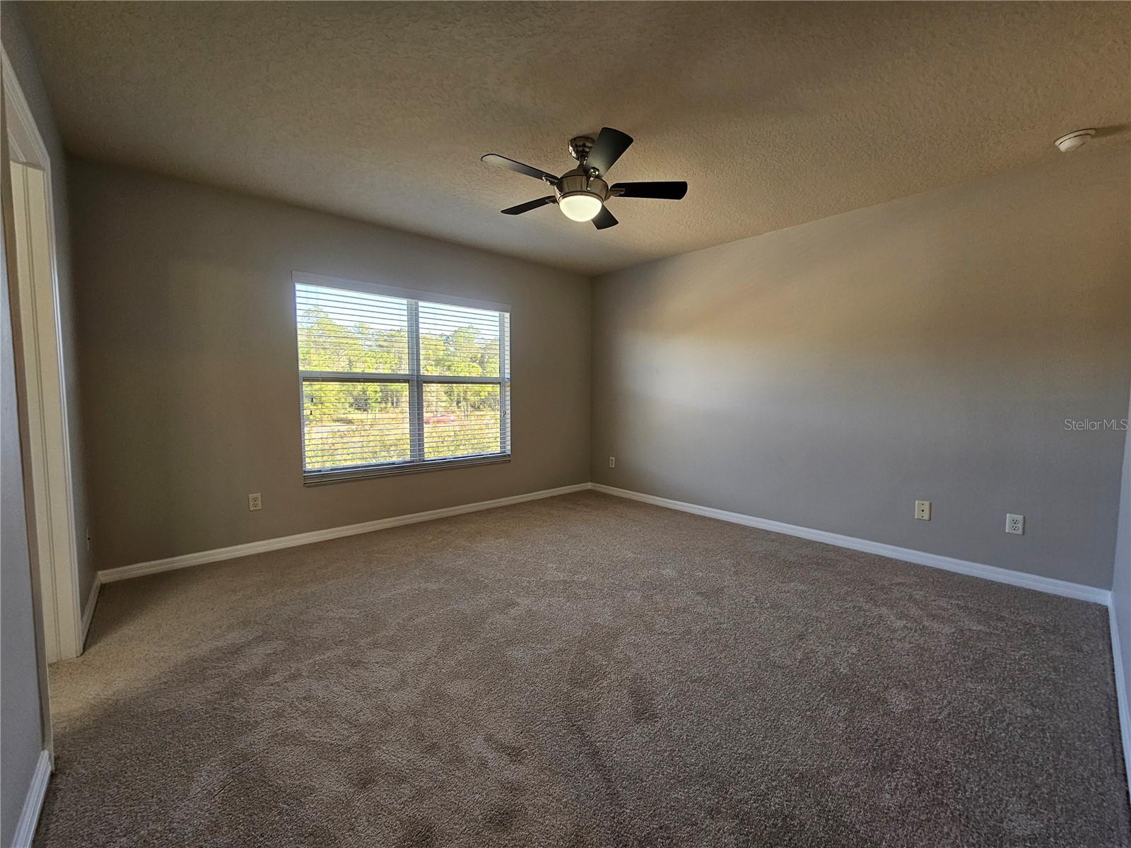 2954 Willowleaf Ln Property Photo 18