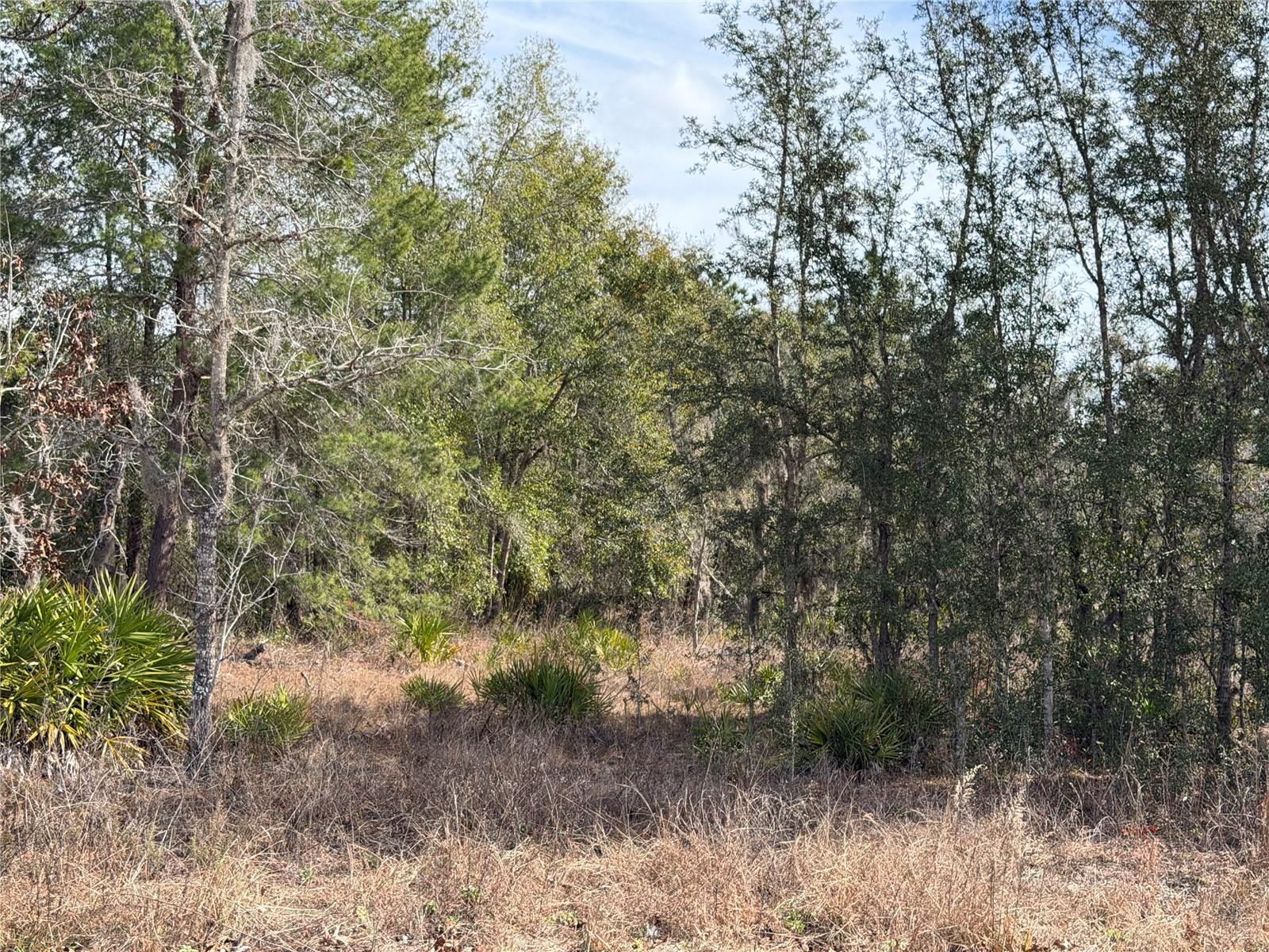 16426 Courlan Rd Property Photo 5