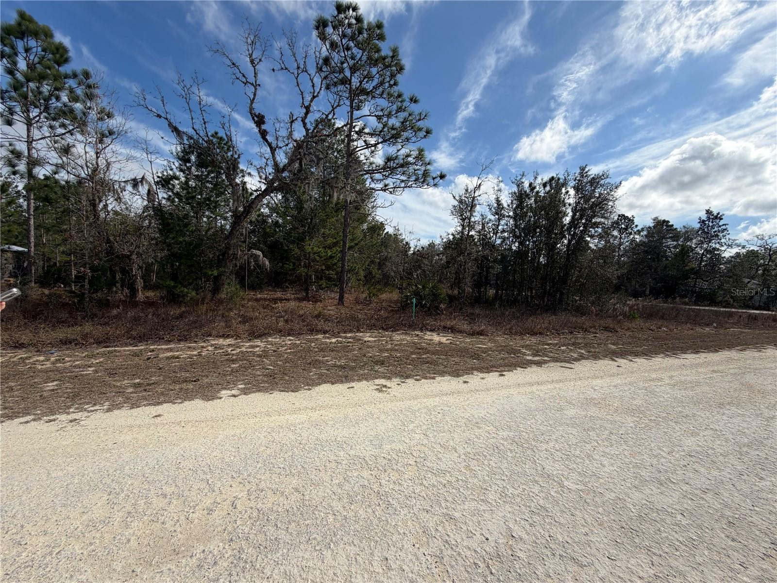 16426 Courlan Rd Property Photo 6