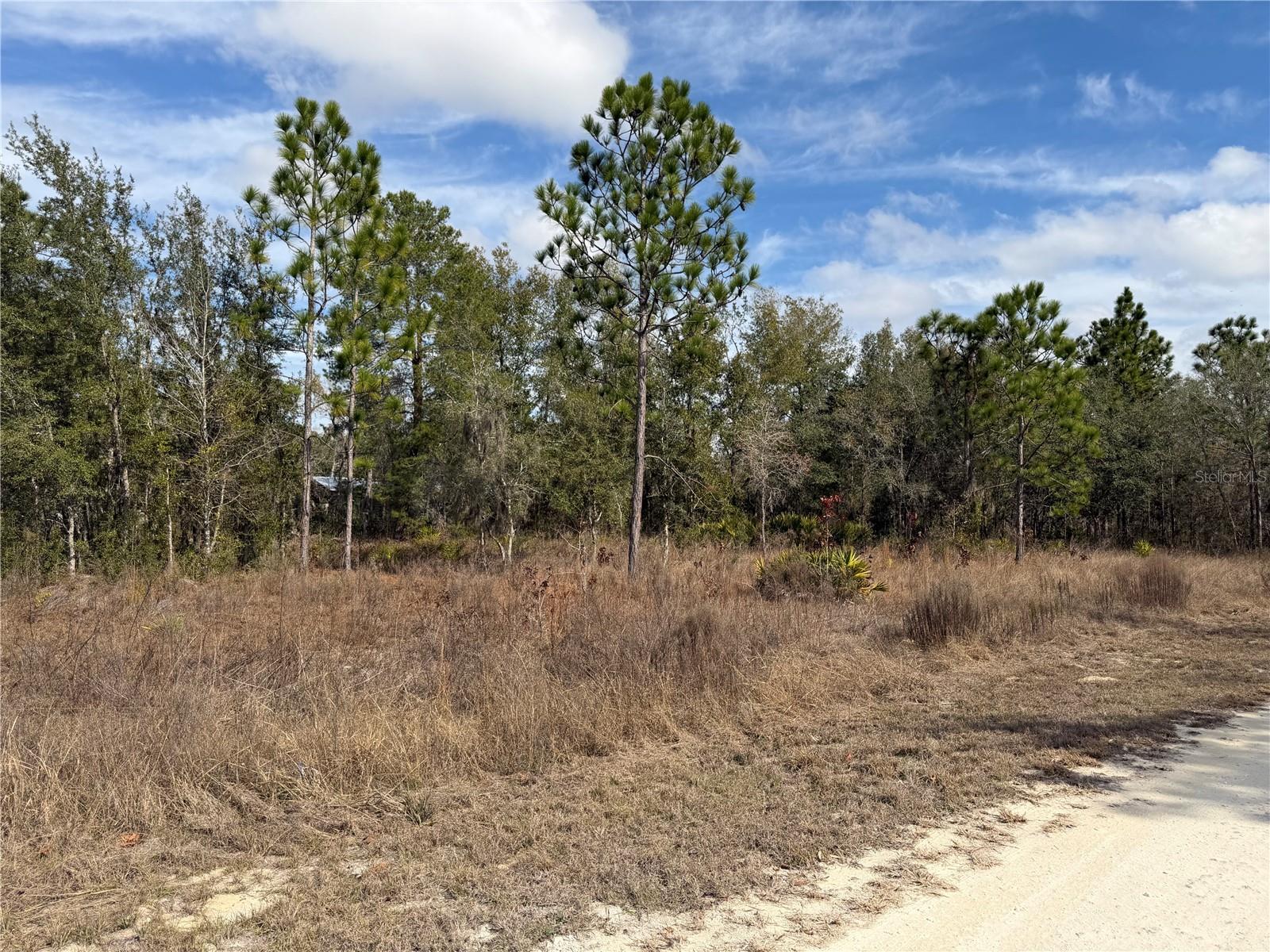 16426 Courlan Rd Property Photo 8