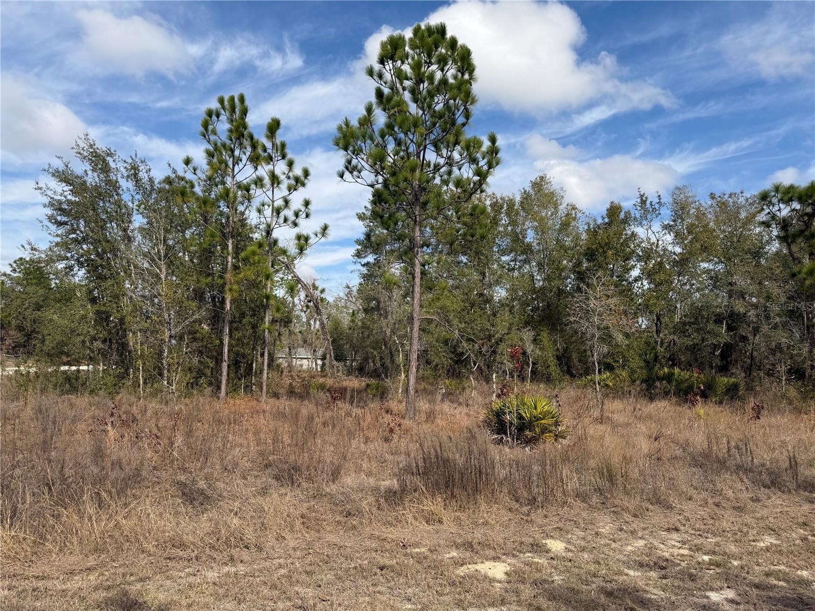 16426 Courlan Rd Property Photo 10