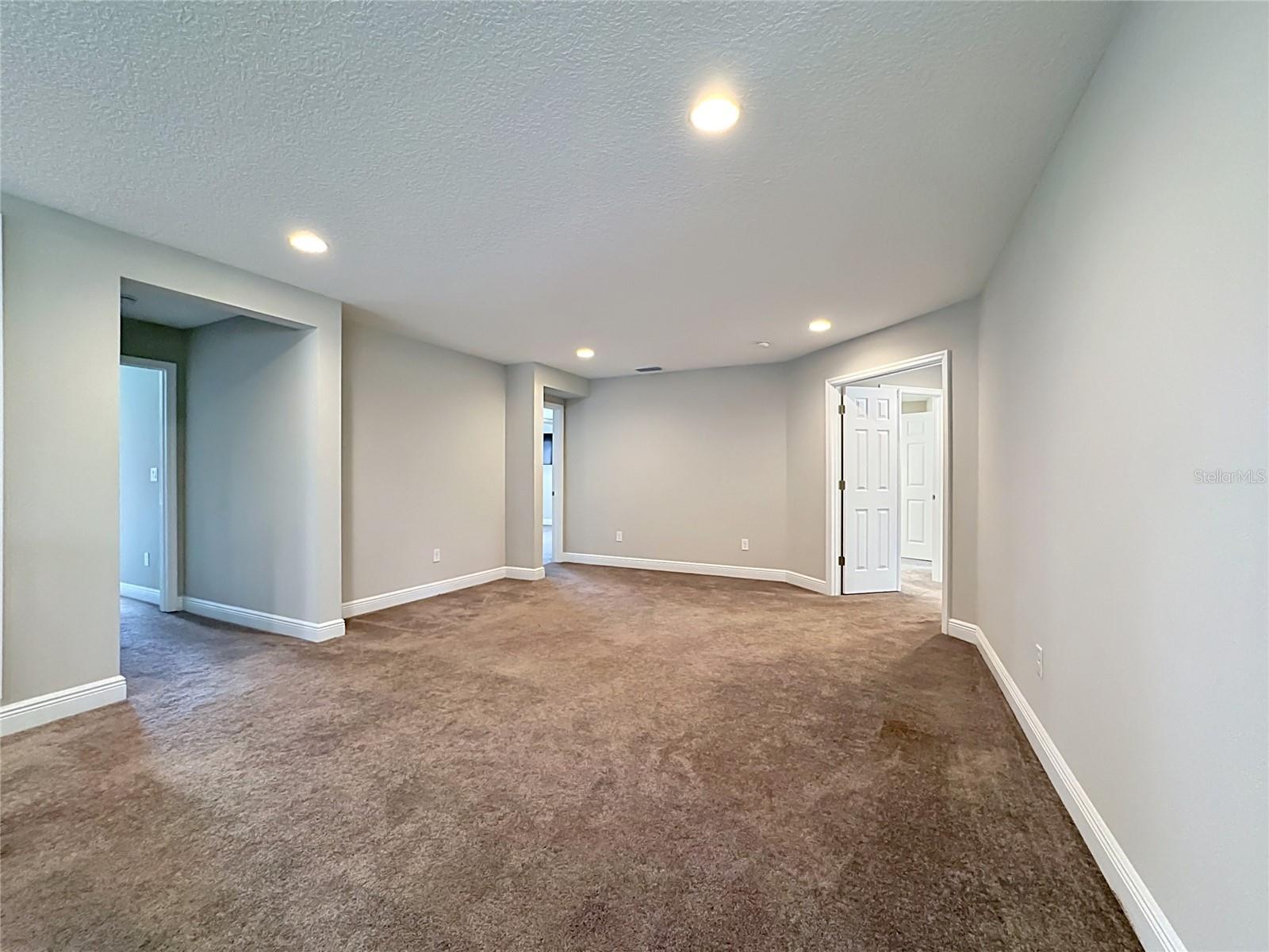 13231 Wildflower Meadow Dr Property Photo 61