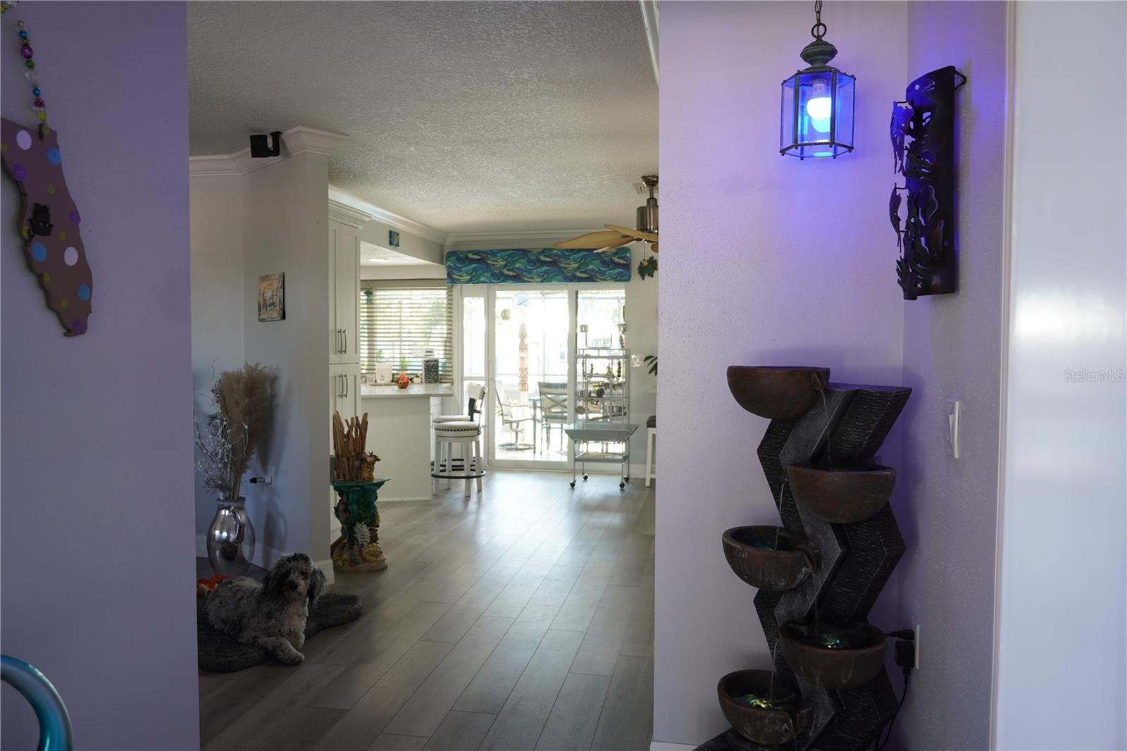 908 Sago Palm Way Property Photo 27