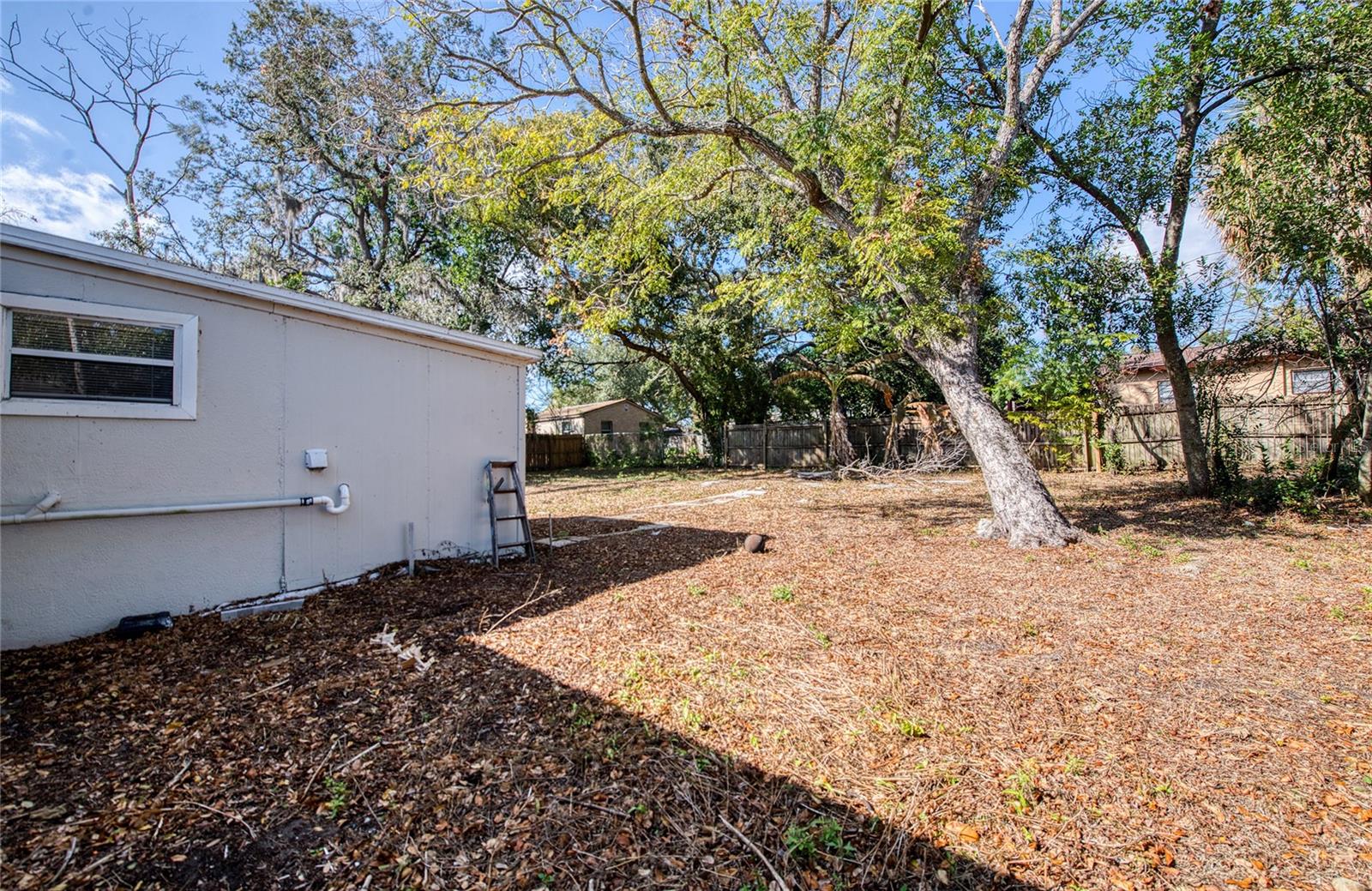 1516 E Waters Ave Property Photo 22