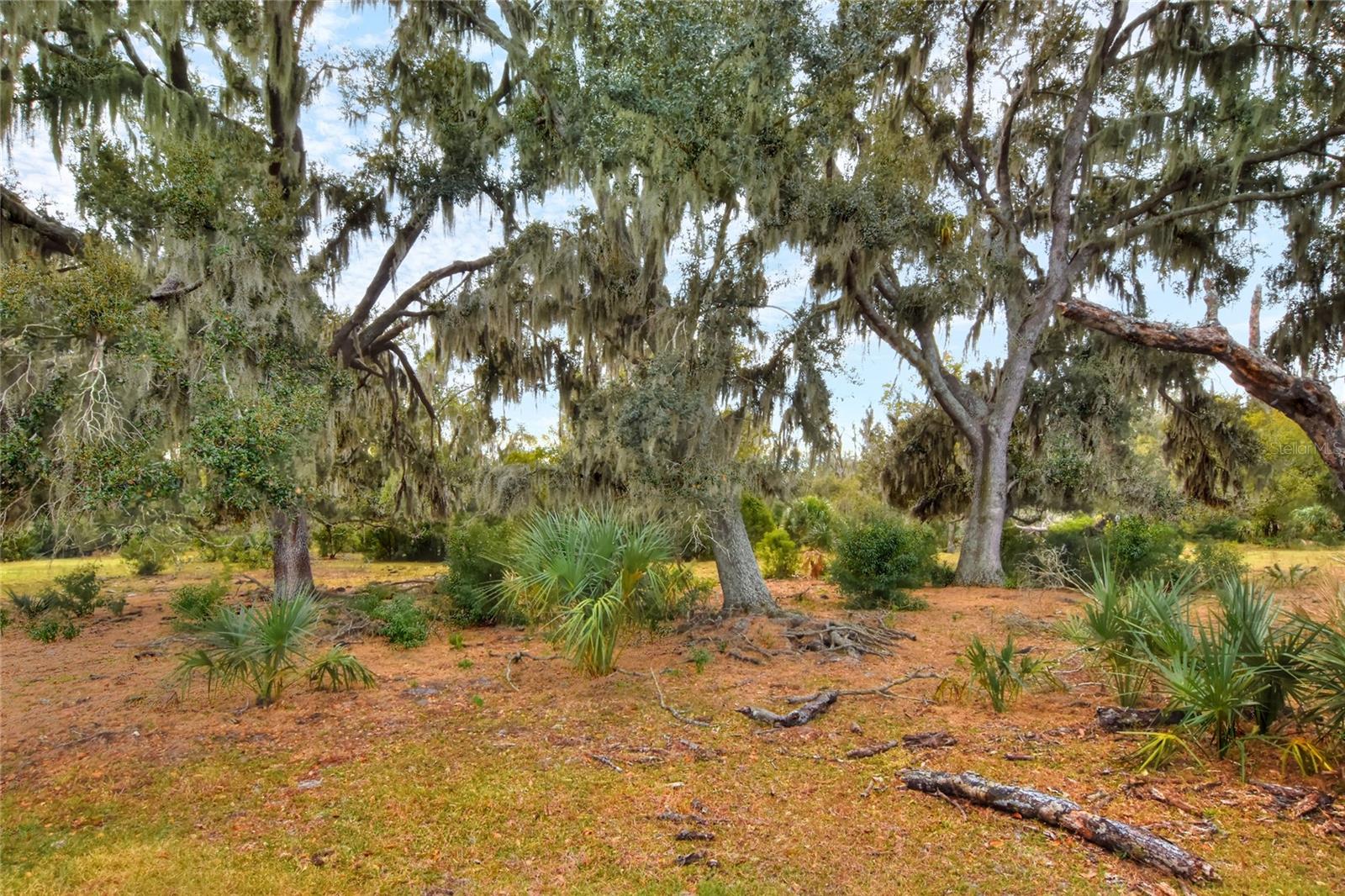 0 Carlton Lake Rd Property Photo 5