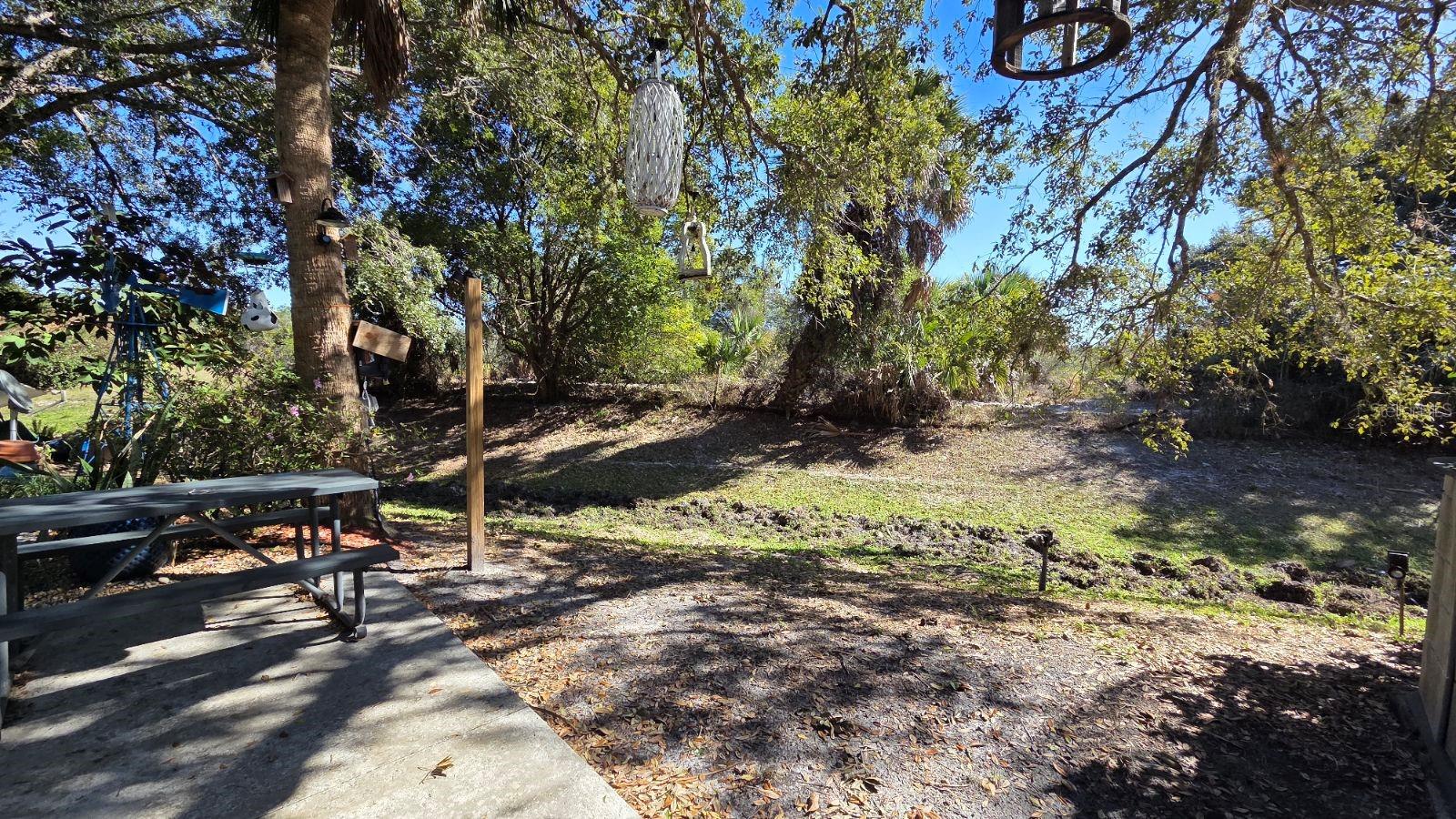 174 Appaloosa Trl Property Photo 7