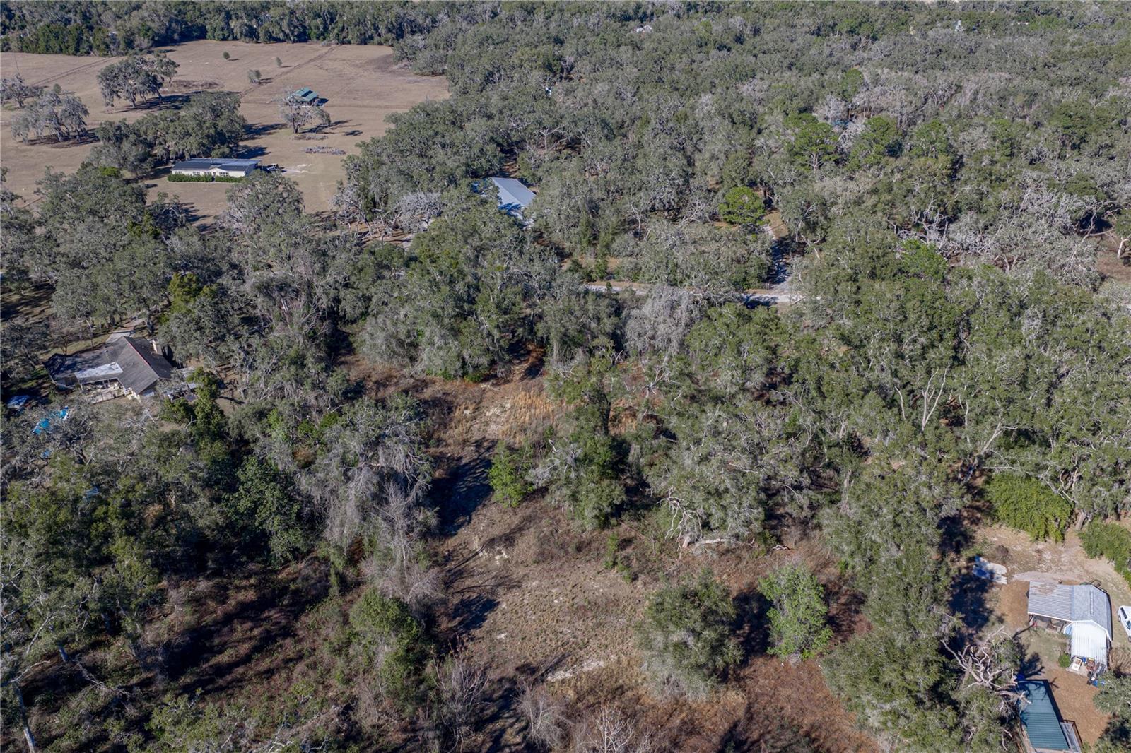 0 Rowntree Dr Property Photo 8
