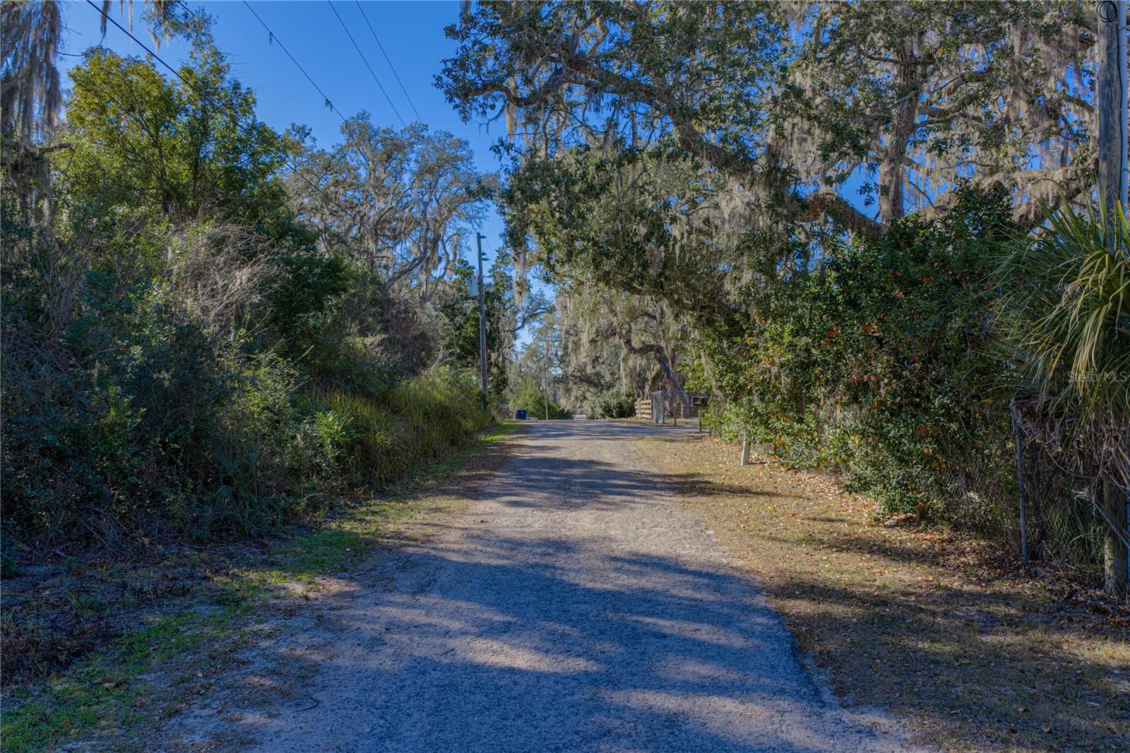 0 Rowntree Dr Property Photo 9