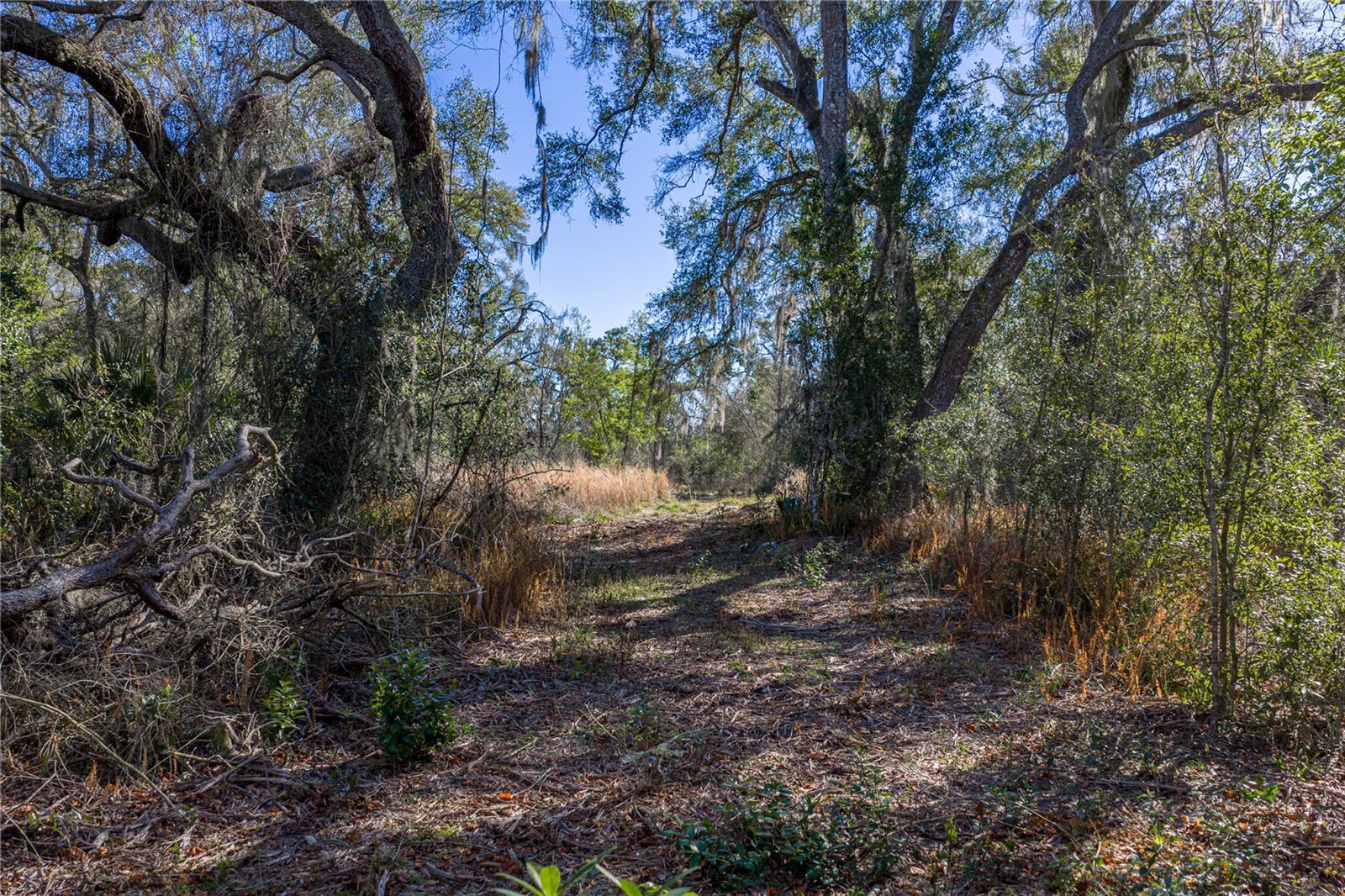 0 Rowntree Dr Property Photo 11