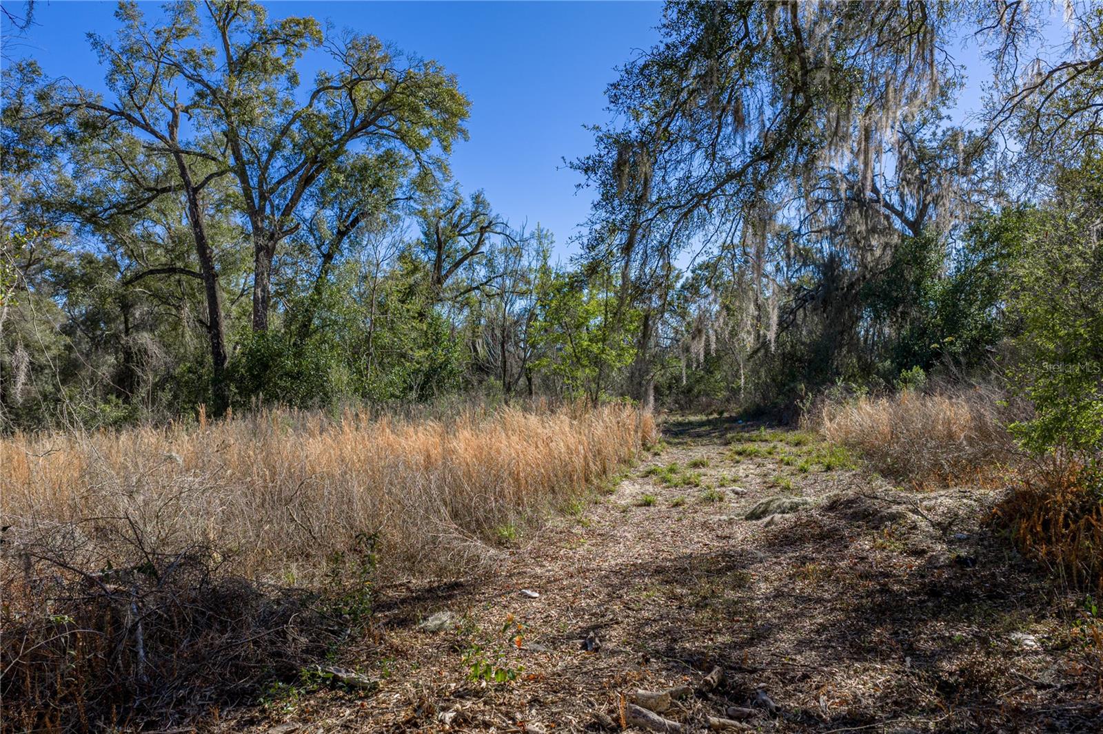 0 Rowntree Dr Property Photo 12