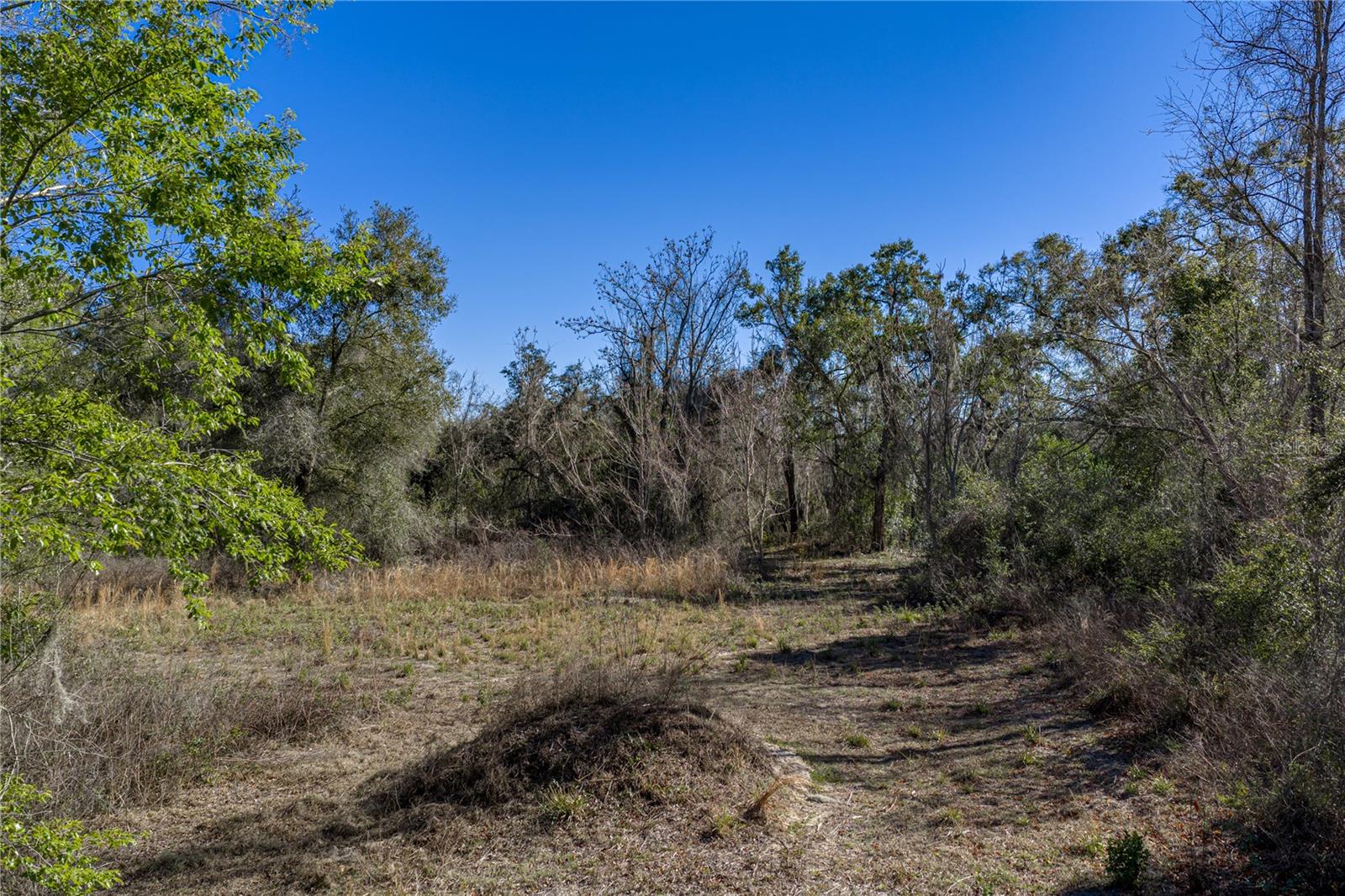 0 Rowntree Dr Property Photo 13