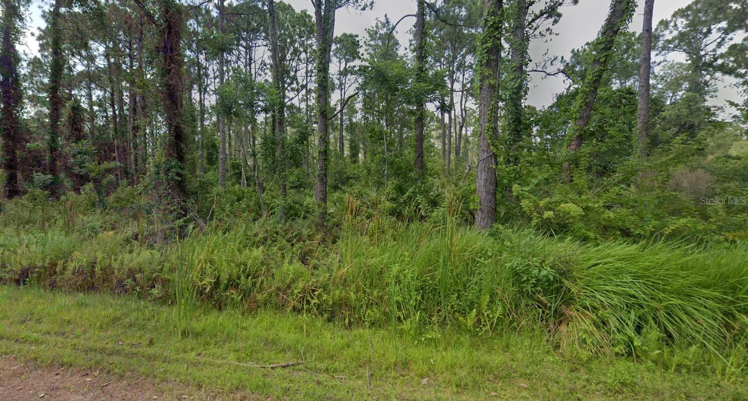 8624 Lena Dr Property Photo 3