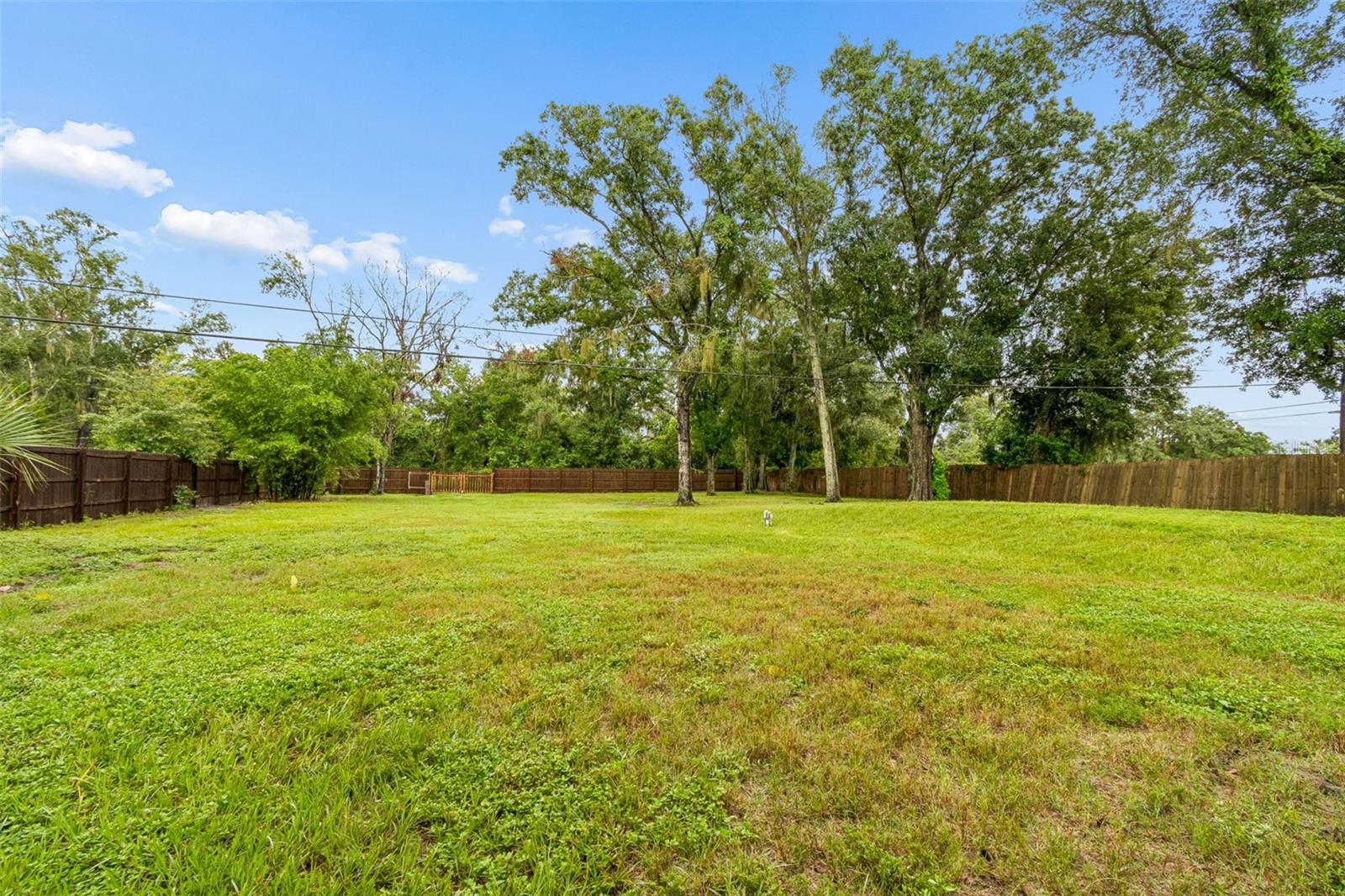 9003 Scott Wilson Ln Property Photo 52