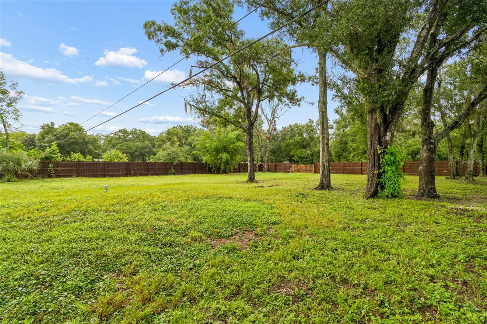 9003 Scott Wilson Ln Property Photo 53