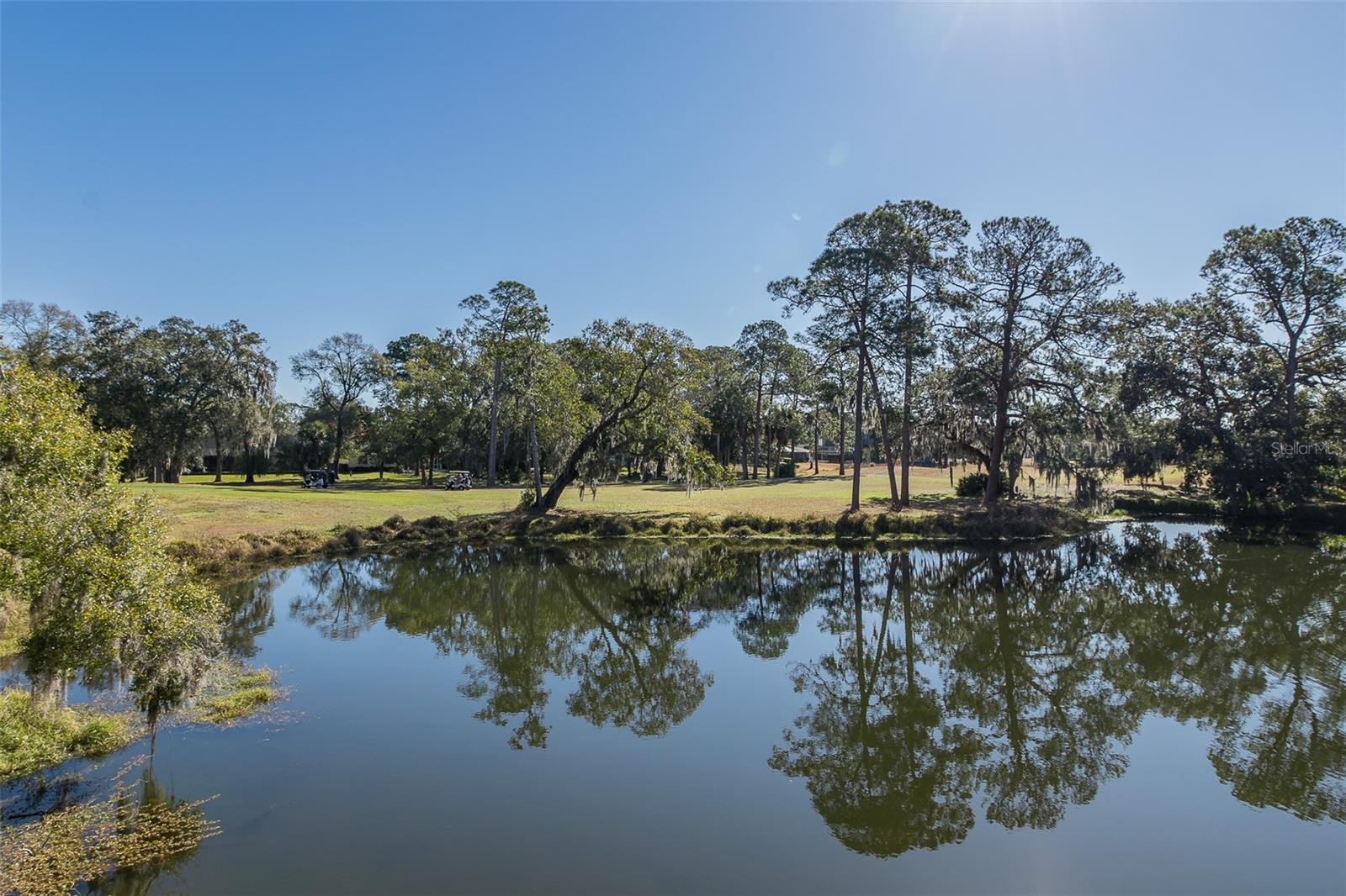 2676 Tanglewood Trl Property Photo 4