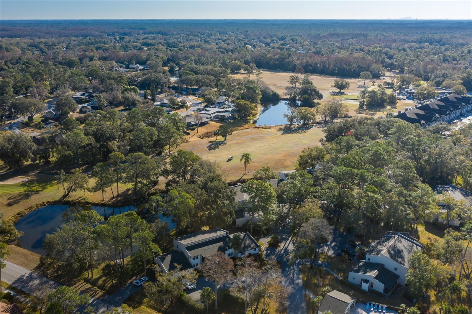 2676 Tanglewood Trl Property Photo 6