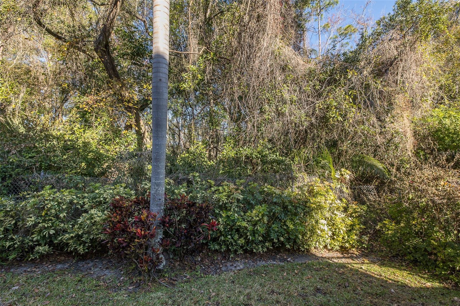 2676 Tanglewood Trl Property Photo 10