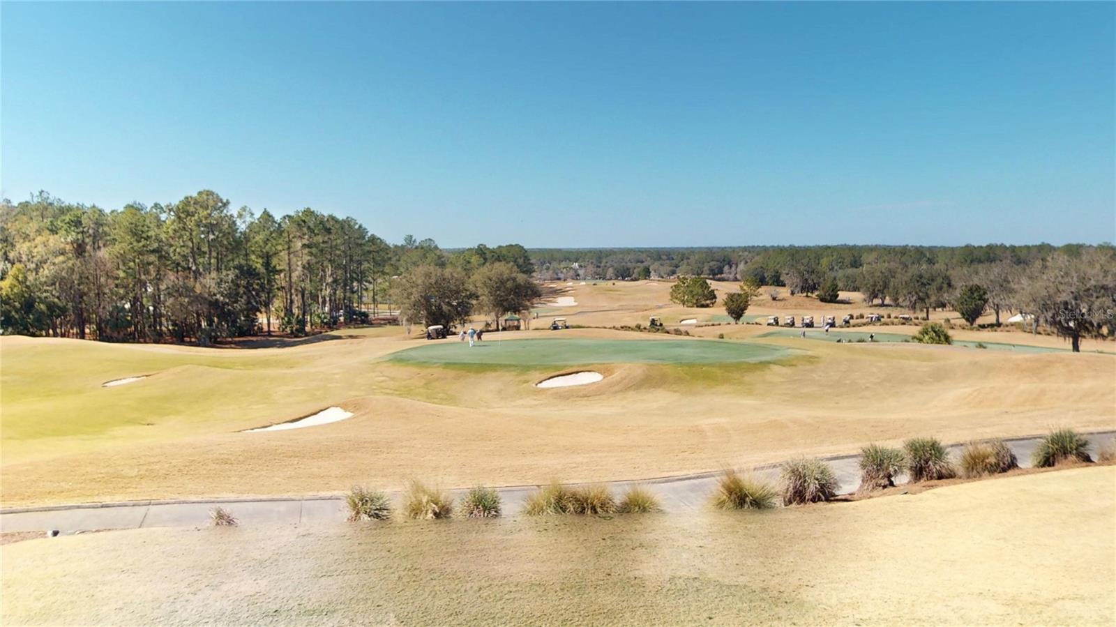 4801 Majestic Hills Loop Property Photo 76