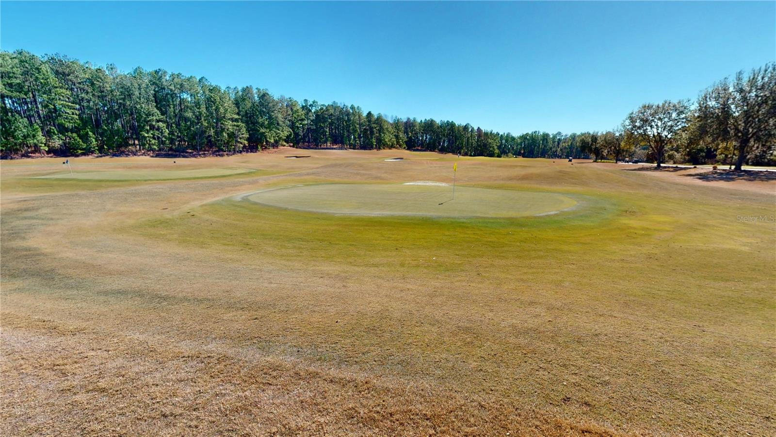 4801 Majestic Hills Loop Property Photo 77