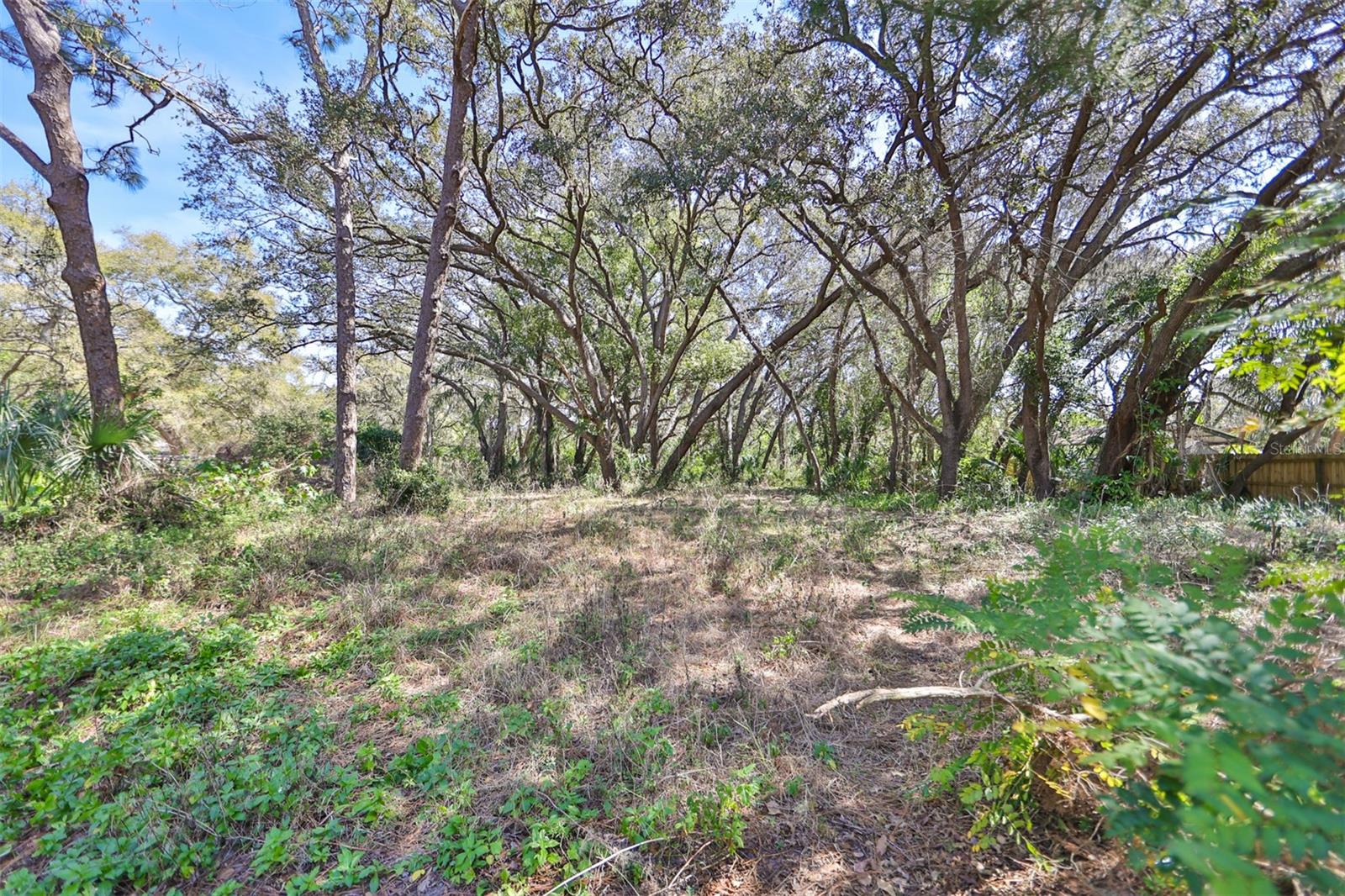 1971 Wolford Rd Property Photo 7