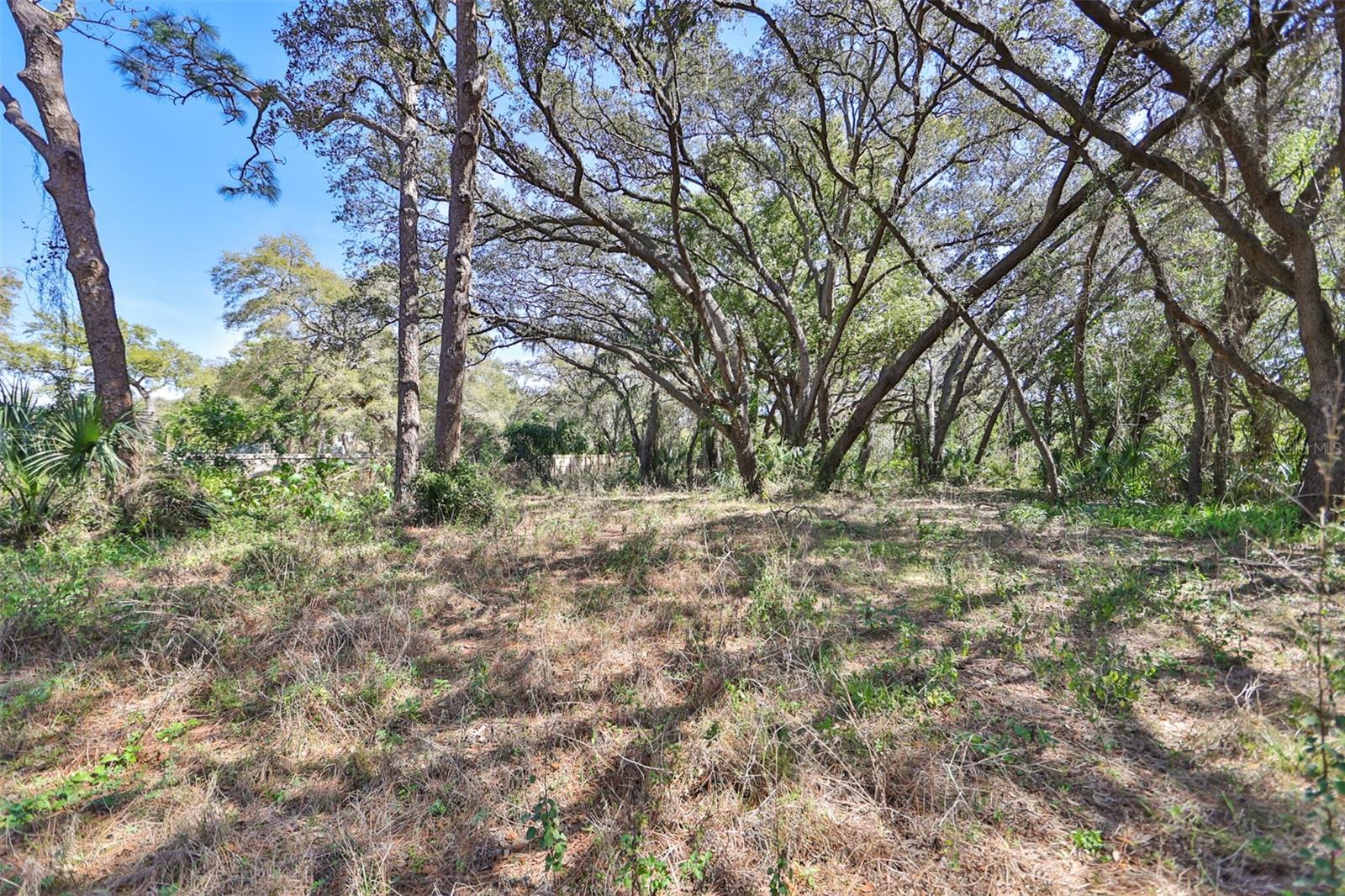 1971 Wolford Rd Property Photo 8