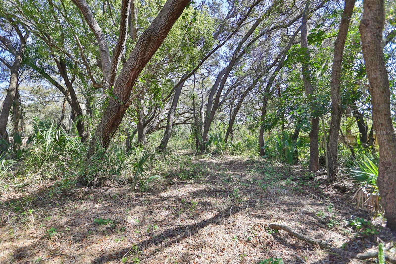 1971 Wolford Rd Property Photo 10