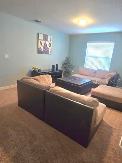 8923 Cuban Palm Rd Property Photo 37