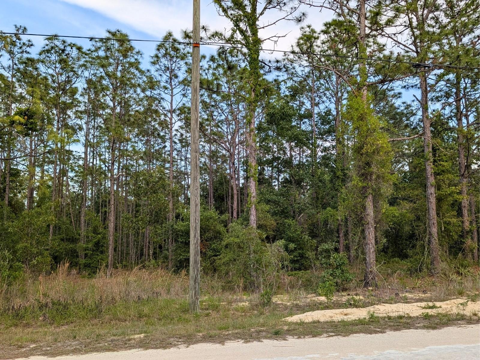 15252 Coot Rd Property Photo 8
