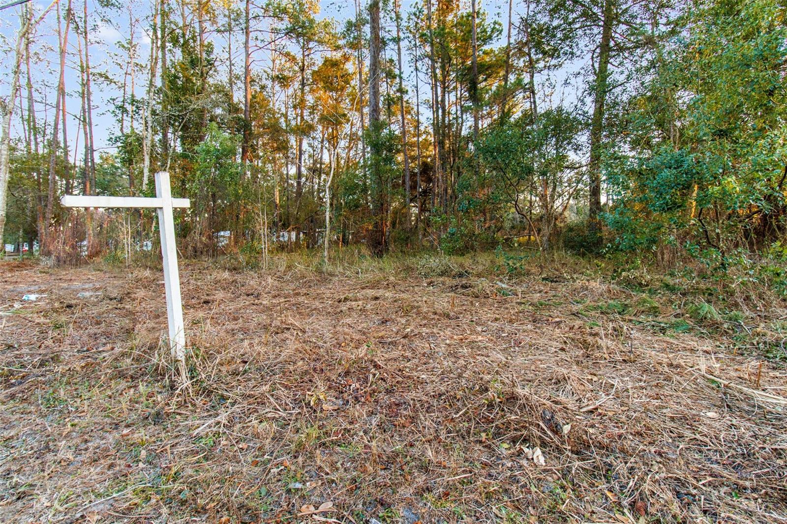 Powell Rd Property Photo 14