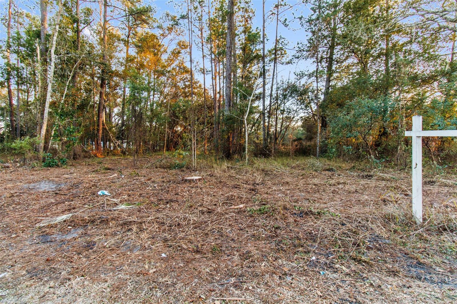 Powell Rd Property Photo 15