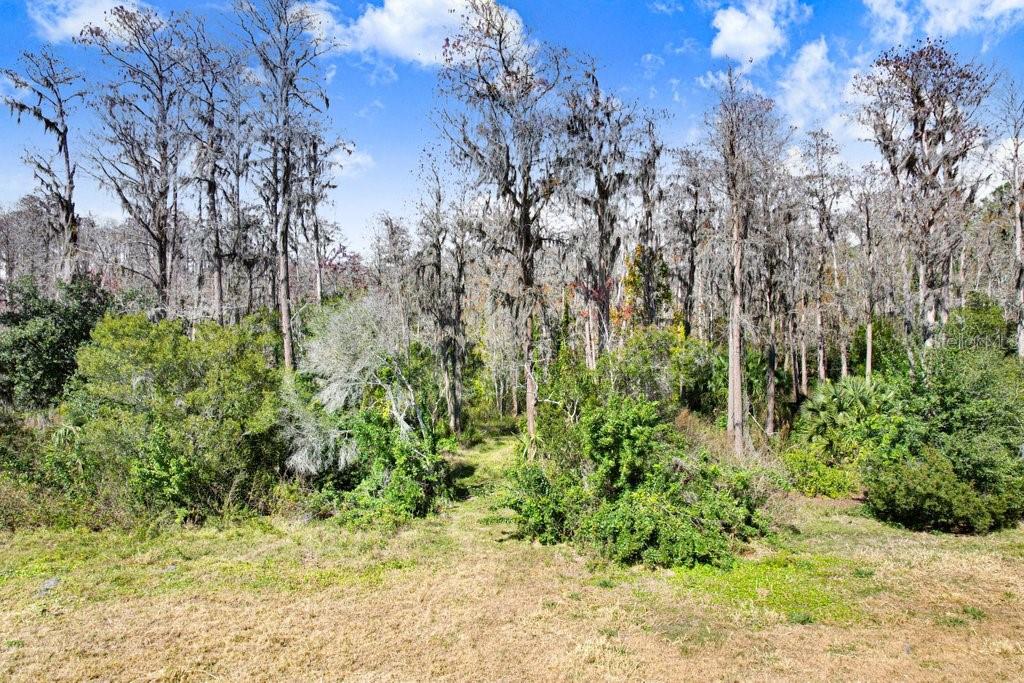 17308 Tobacco Rd Property Photo 34