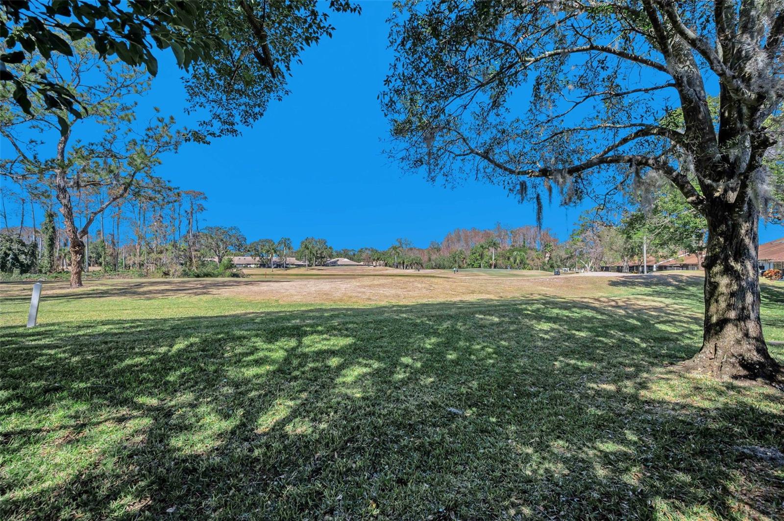 3351 Lori Ln #3351 Property Photo 4