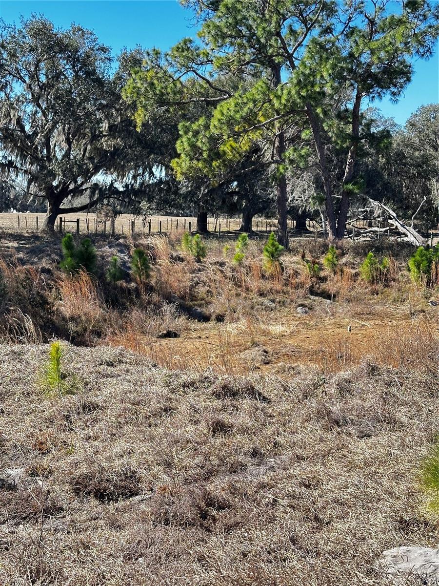 Cr 707 Rd Property Photo 5