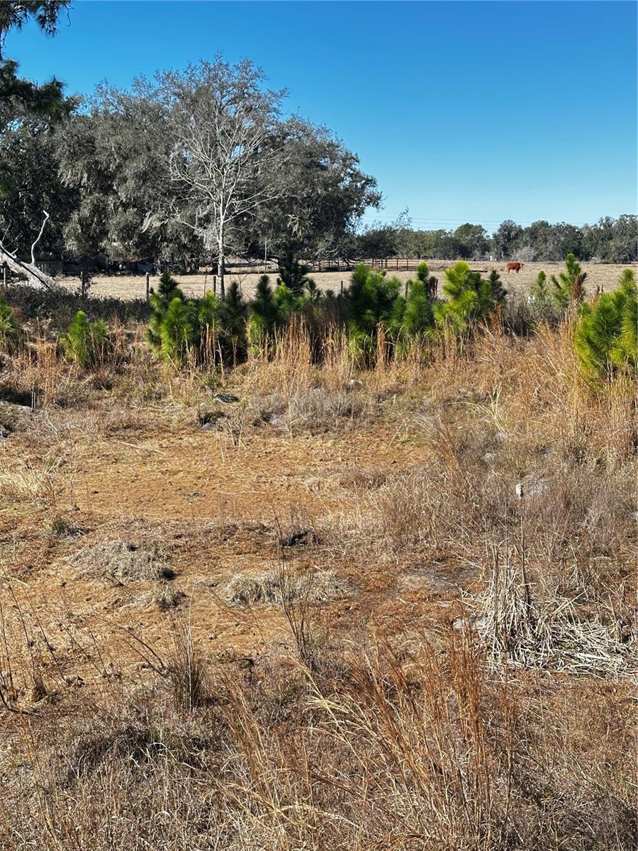 Cr 707 Rd Property Photo 6