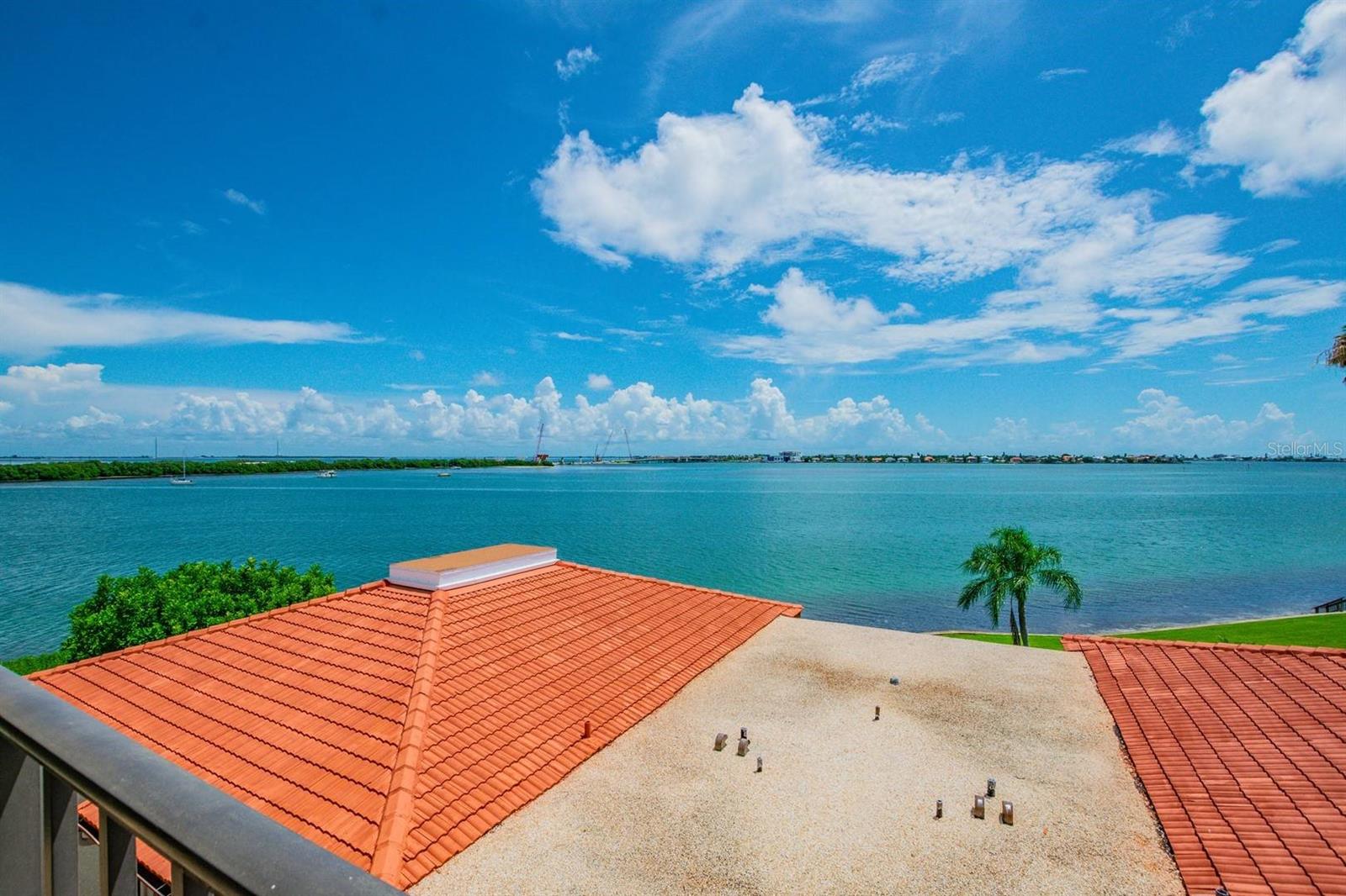 6295 Bahia Del Mar Cir #401 Property Photo 14