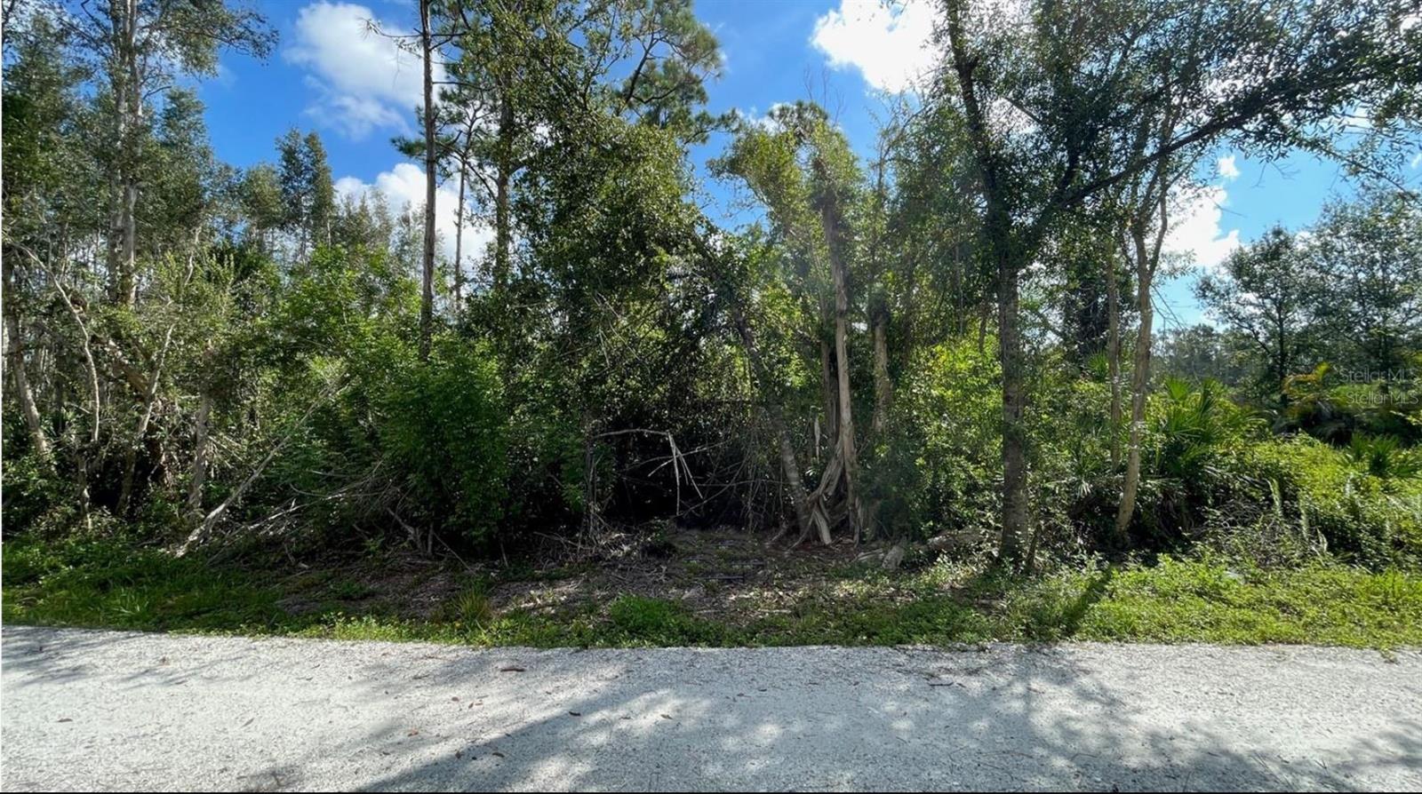 12665 Easha Blvd Property Photo 17