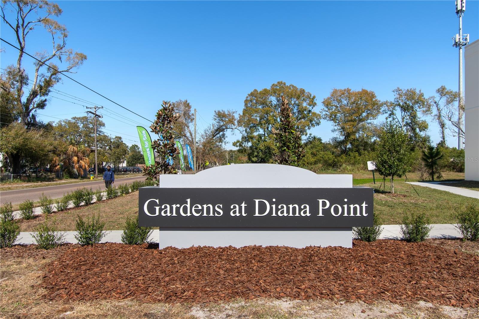 4350 Cambio Gardens Ct Property Photo 2